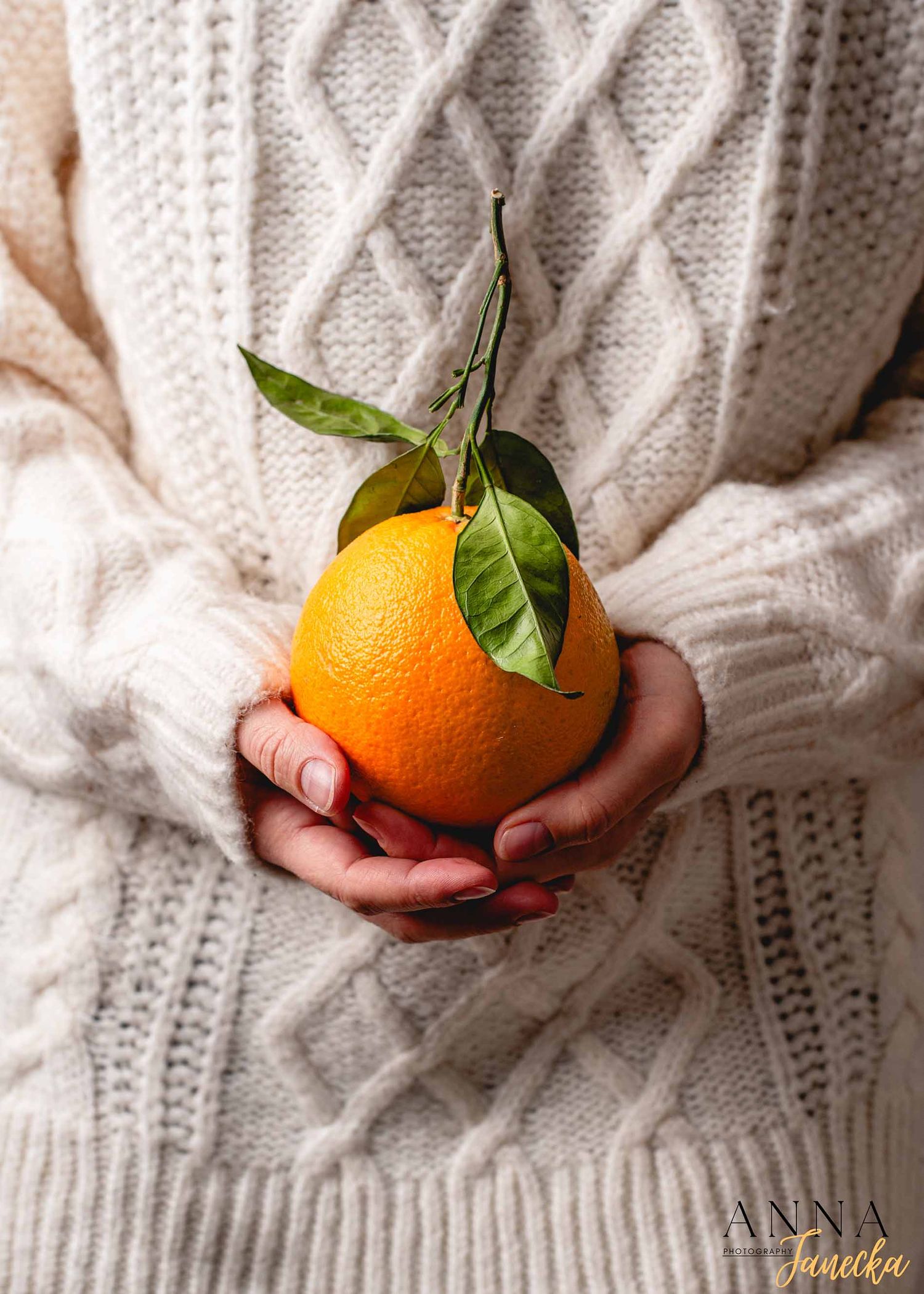 Hands holding fresh oranges with green leaves against a cozy white knit sweater background.