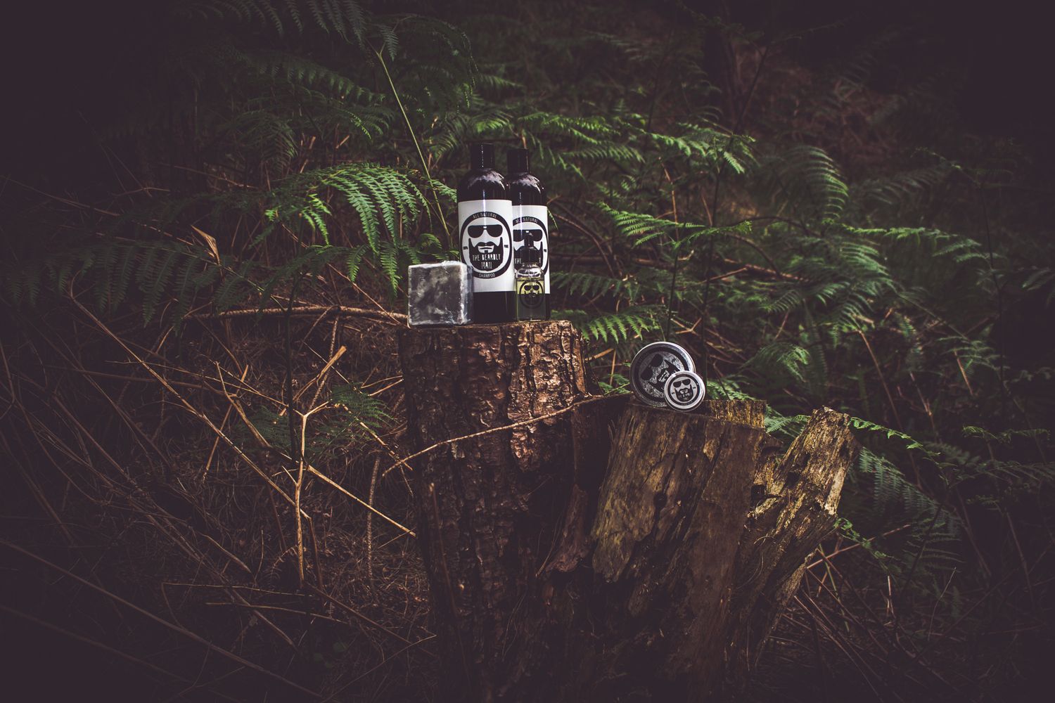 A vintage boombox sits on a dirt ledge surrounded by ferns and foliage in a dark forest setting.