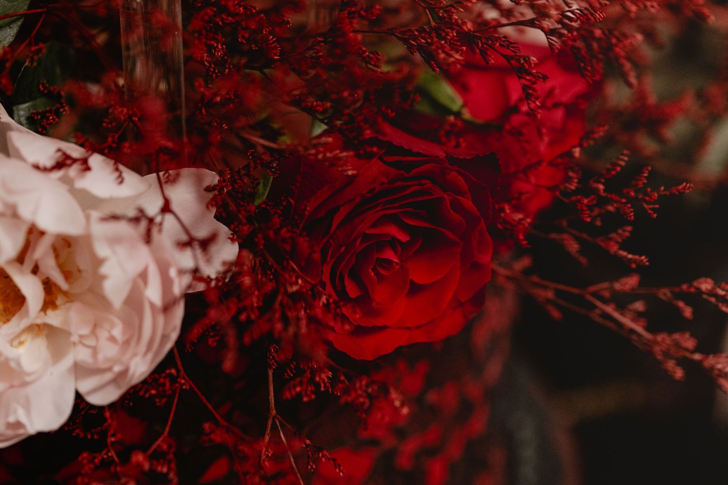 Dark moody floral arrangement with deep red roses and pale pink blooms against a black background.