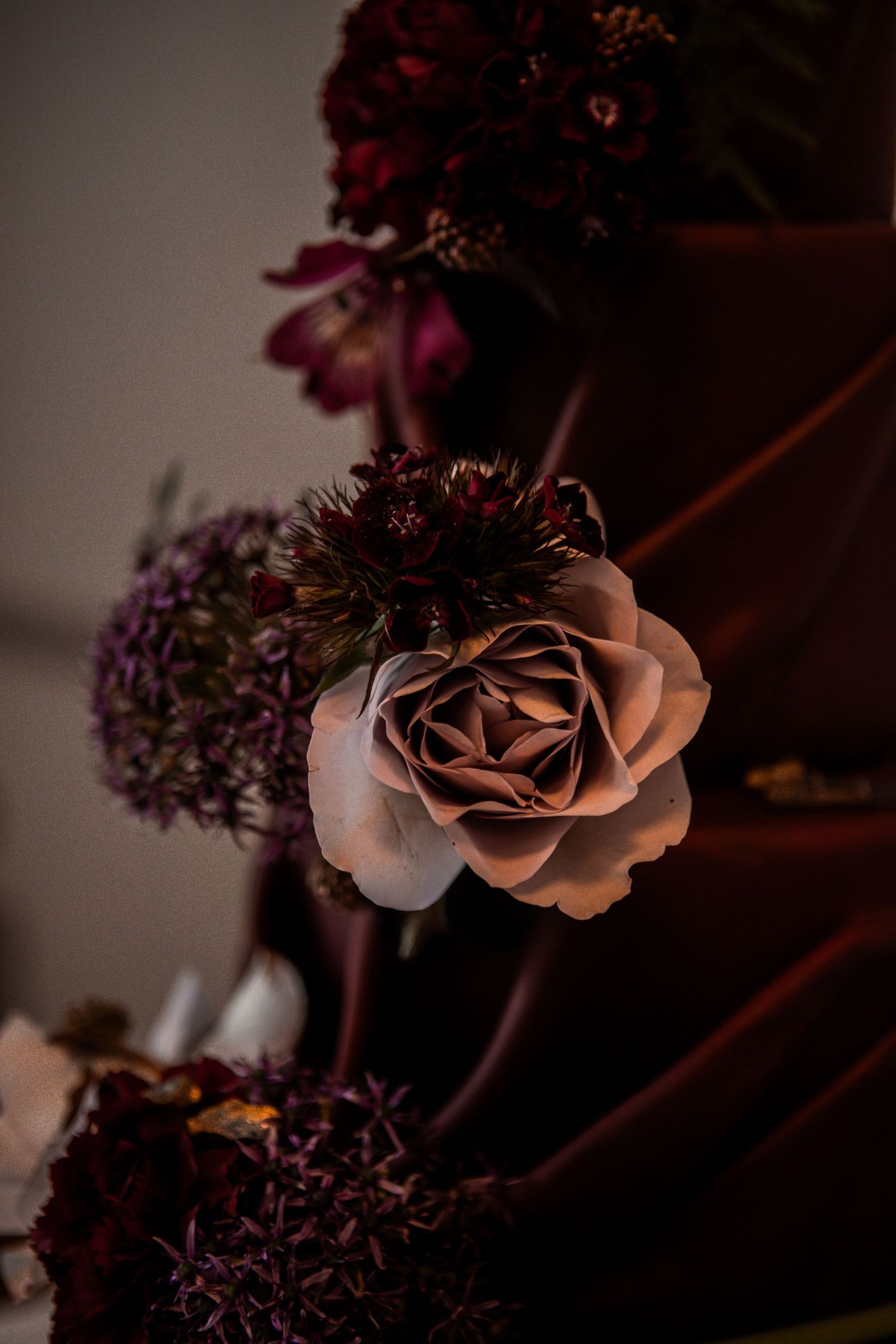 Moody macro photography captures delicate pink roses and purple flowers in dark lighting against a shadowy background.