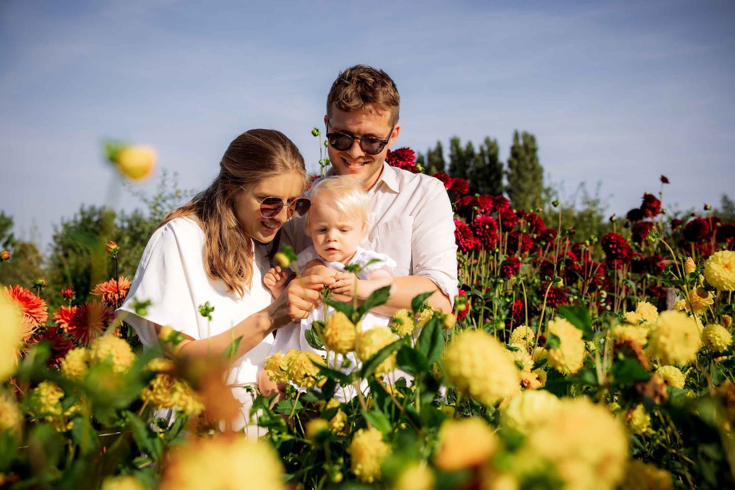 Family spending time together in a vibrant flower field with yellow and red blooms on a sunny summer day.