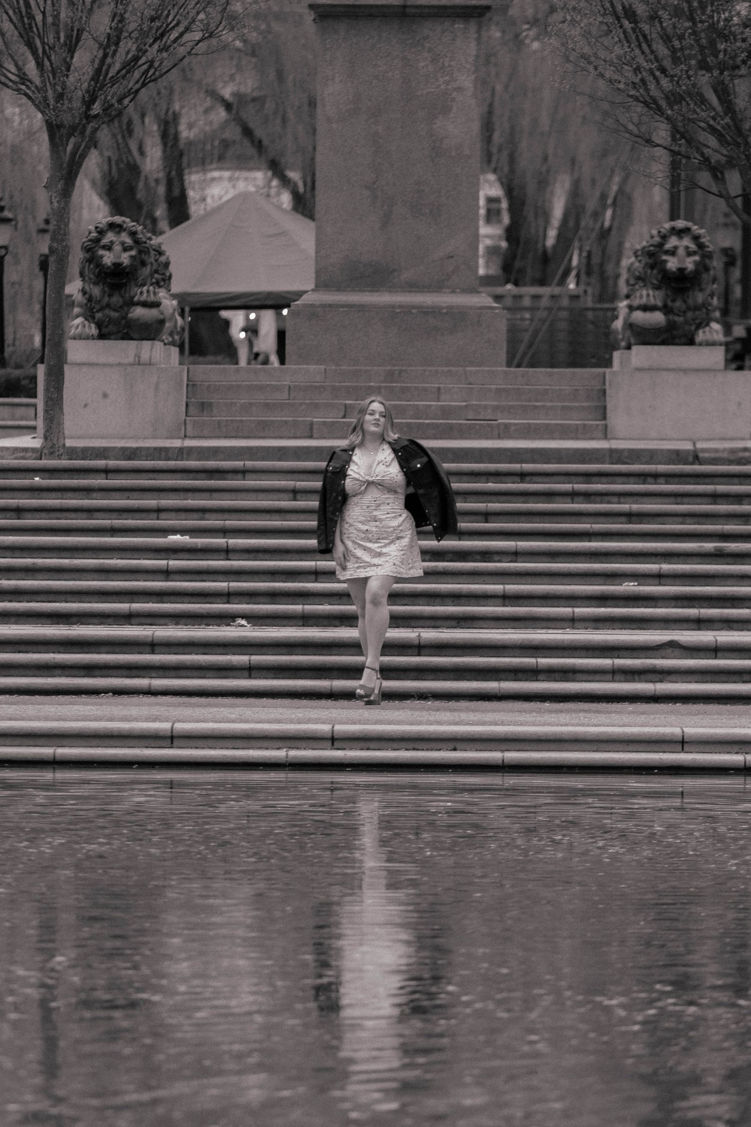 Fotograf i Stockholm, Sternlind Photo, Jennifer Sternlind, Fotograf i stockholm. par fotograf, hund fotograf, Häst fotog