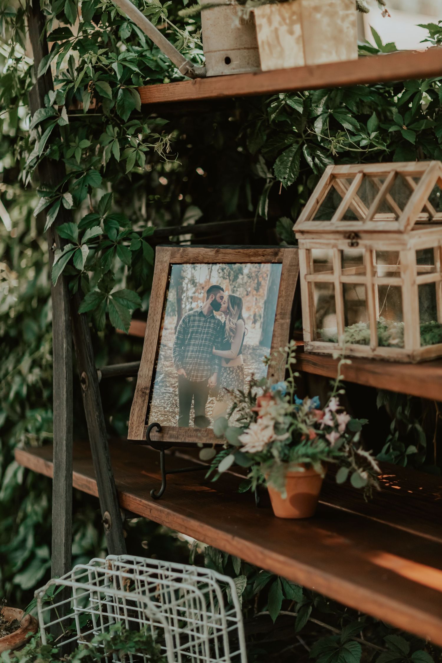 Rustic wooden shelving unit in garden with vintage photograph and decorative greenhouse display among green foliage.