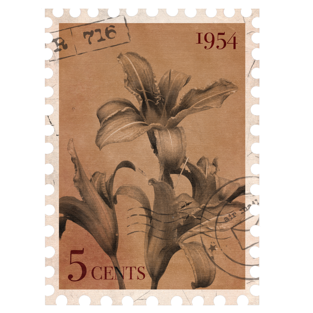 A vintage 5-cent postage stamp from 1954 featuring a sepia-toned illustration of lilies with delicate petals.