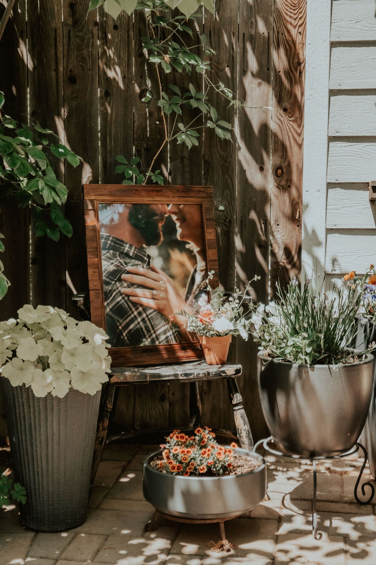 Outdoor garden corner with vintage frame, white flowers, and potted plants casting dappled shadows on wooden fence.