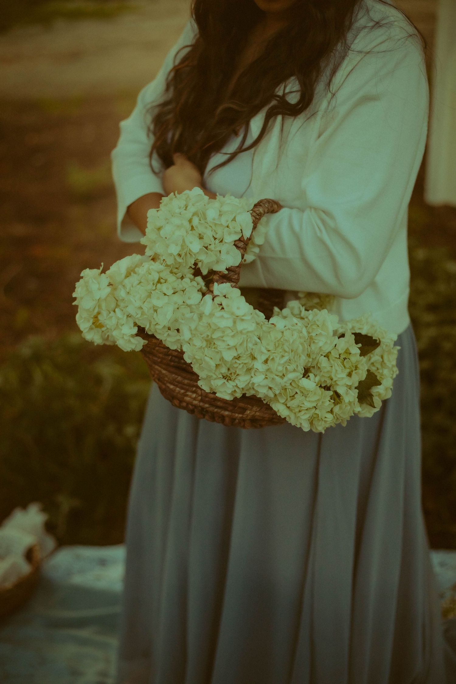 Elegant hydrangeas creating an ethereal atmosphere for Motherhood mini photography sessions near Pasadena California.