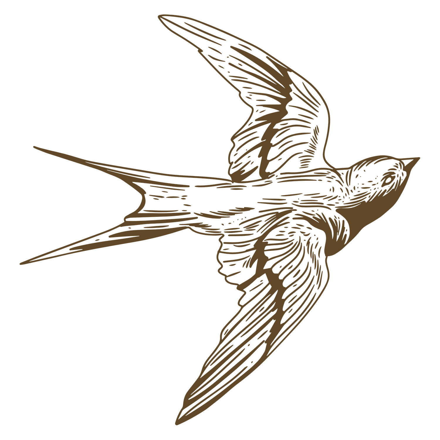 Vintage brown illustration of a swallow bird in flight to show the romantic style of photography of Crusita Rodriguez Photography LLC
