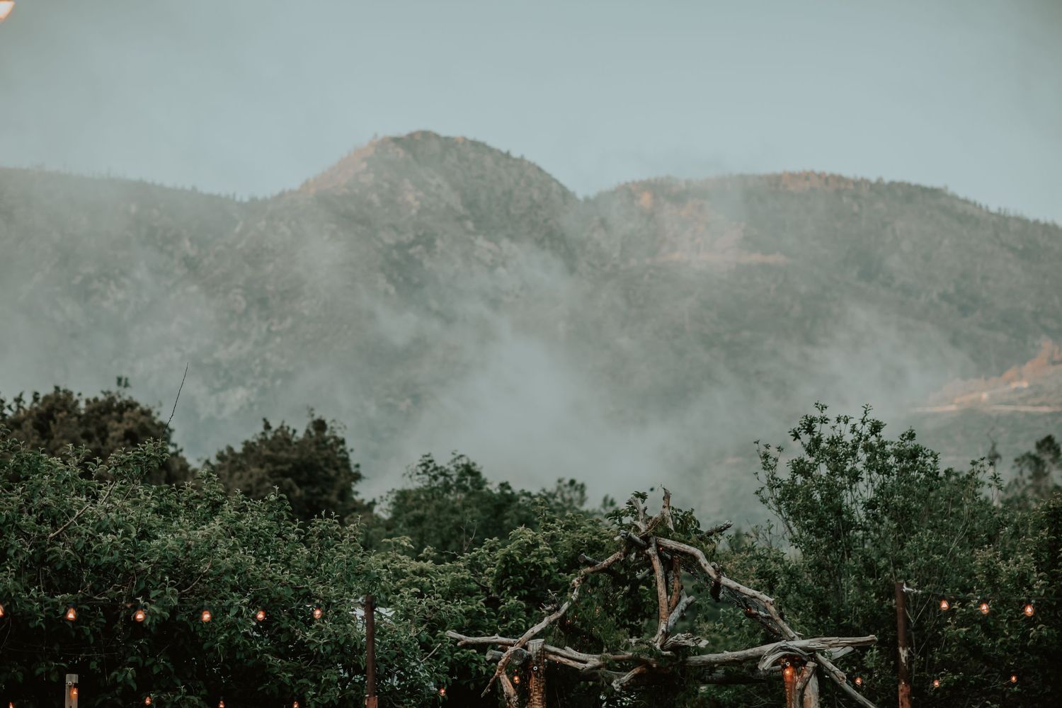Misty mountains rise above an orchard with string lights hanging between trees creating a moody atmosphere.