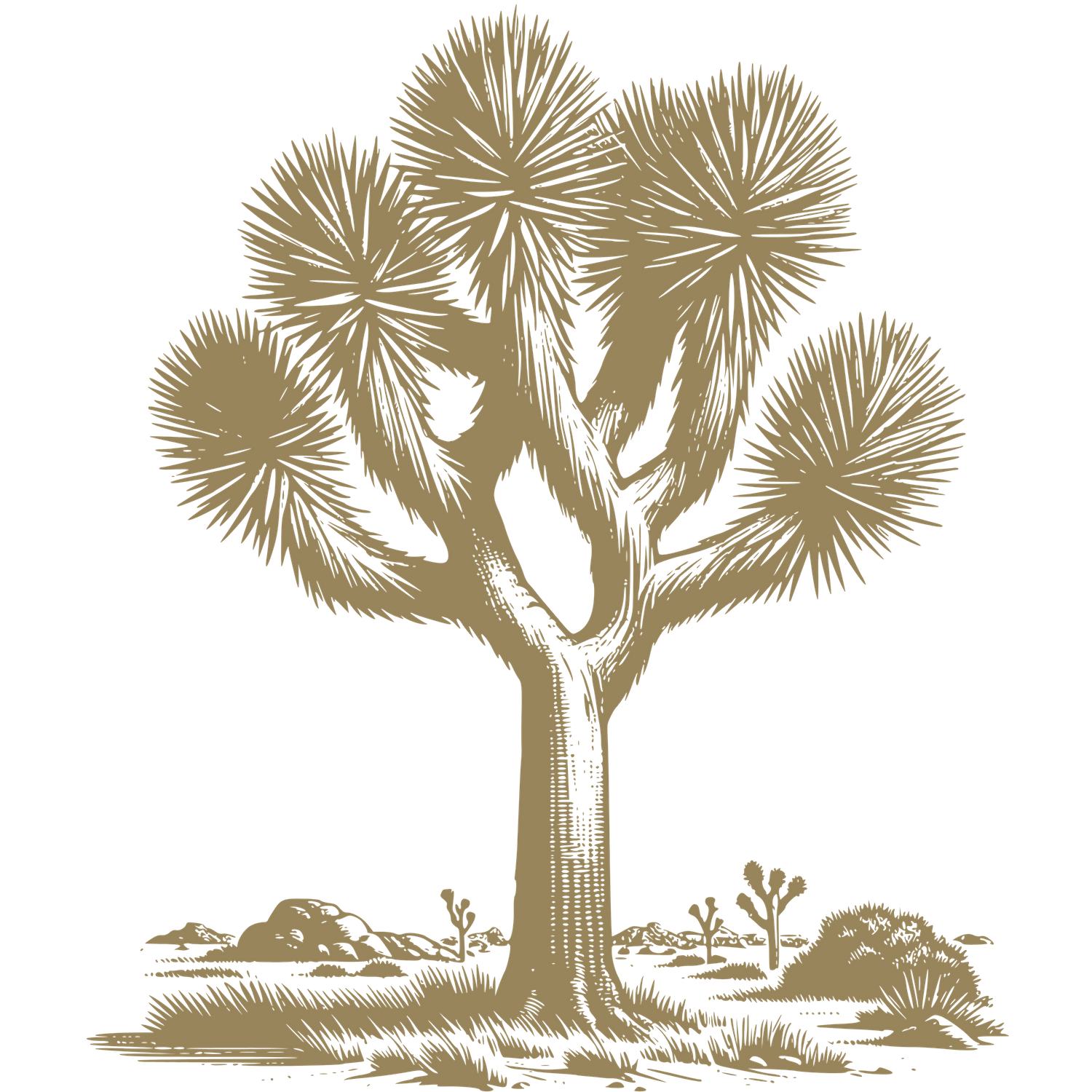 Joshua Tree icon to emphasize the story telling of the elopement