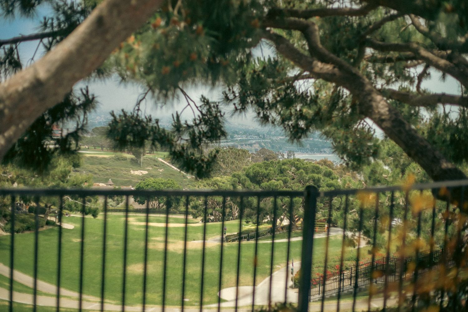 Dana point small wedding venue with an ocean background in california