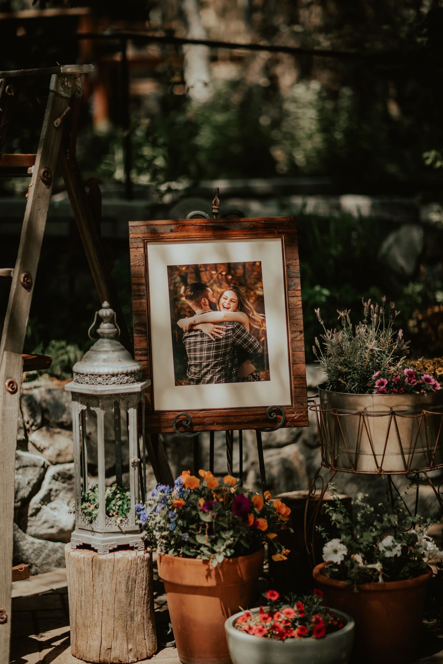 Rustic garden display with vintage lantern, framed photo, and potted flowers arranged around wooden stumps in dappled light.