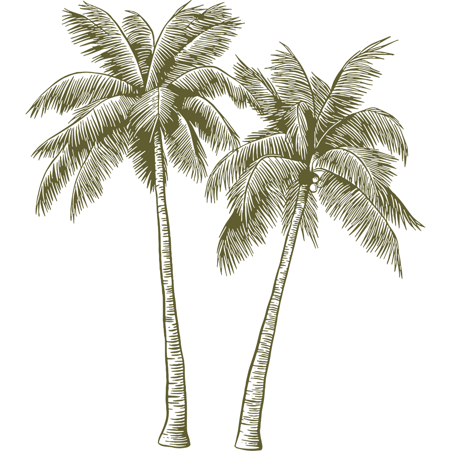 Two palm tree silhouettes with textured fronds stand together against a plain background.