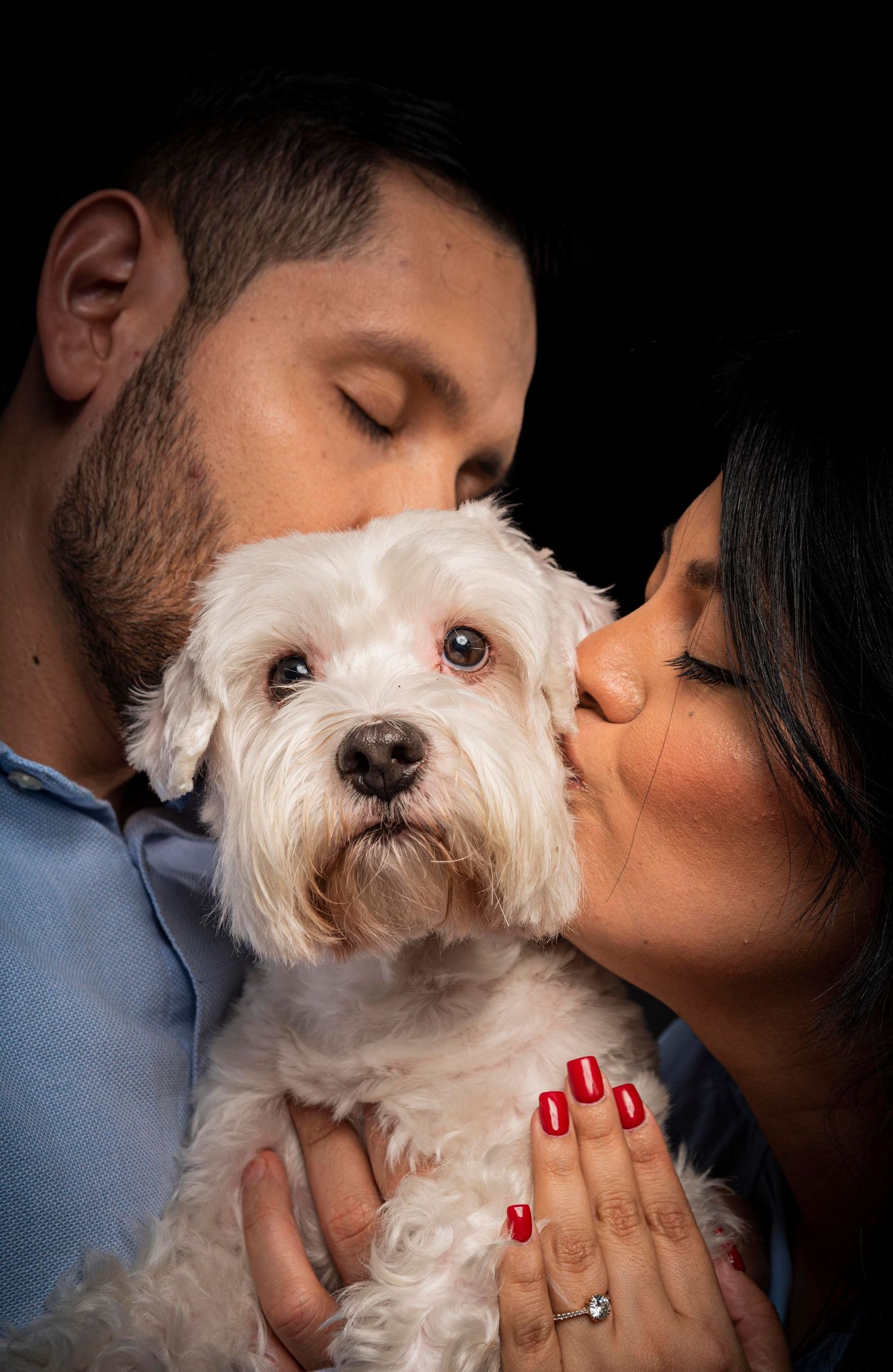 White fluffy dog receiving kisses while being held against dark background.