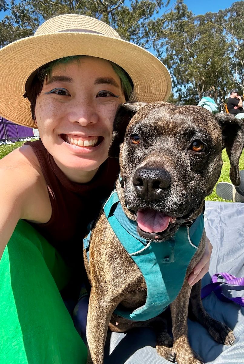 A happy brindle pit bull mix wearing a turquoise harness poses outdoors with someone in a straw hat and green top.
