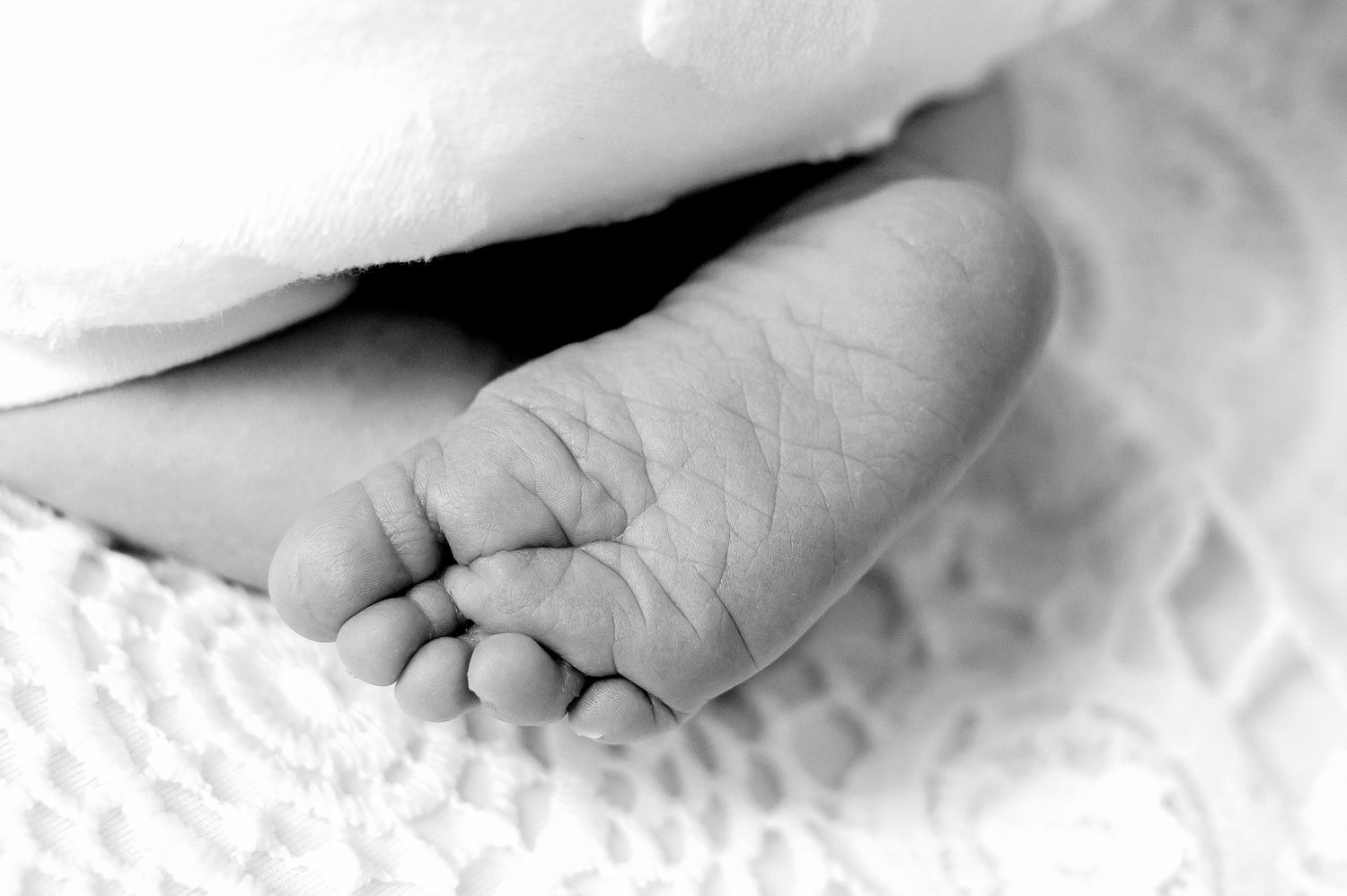Black and white macro photograph of tiny newborn foot against textured white fabric.