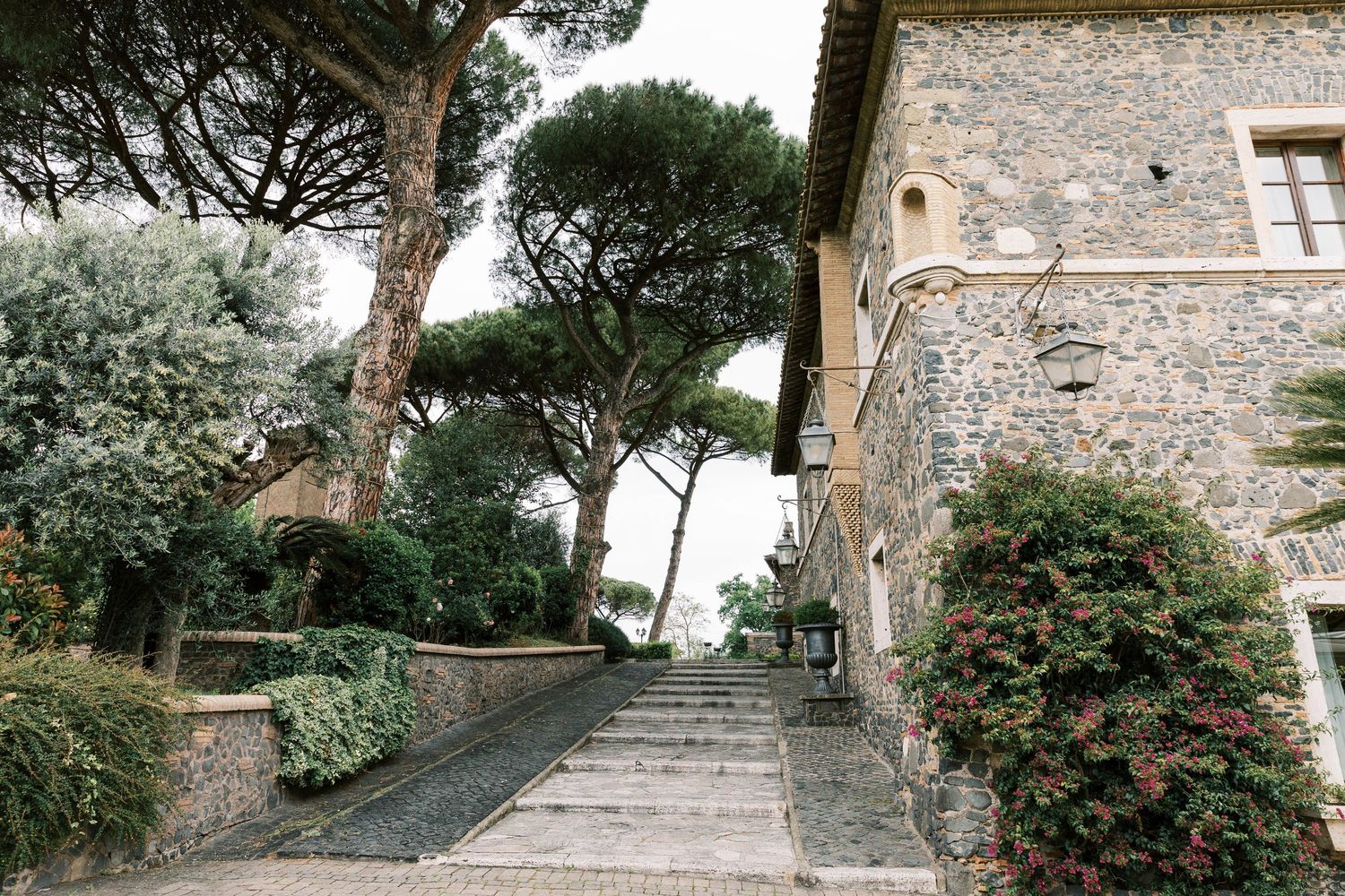 A winding stone stairway ascends between pine trees and stone walls.