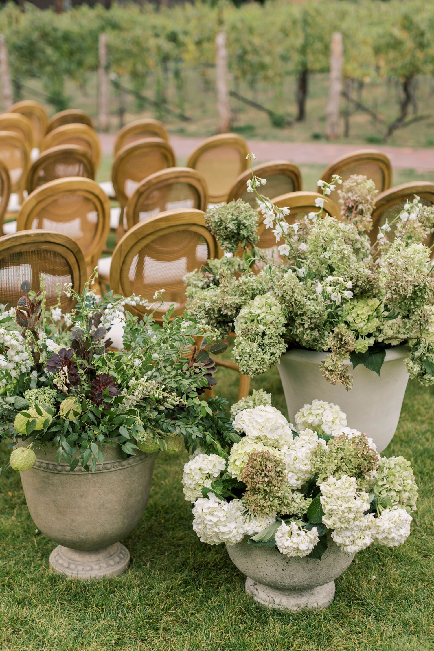 Stone urns filled with lush white hydrangeas and greenery line ceremony seating area.