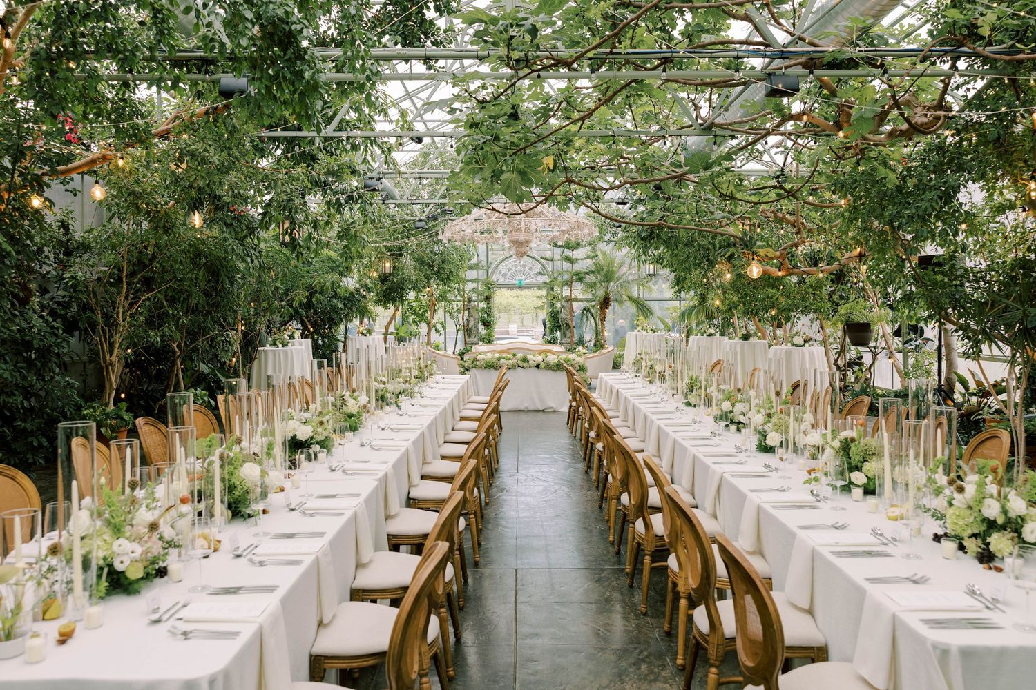 Long elegant greenhouse wedding reception setup with white tablecloths and wooden chairs under natural foliage.