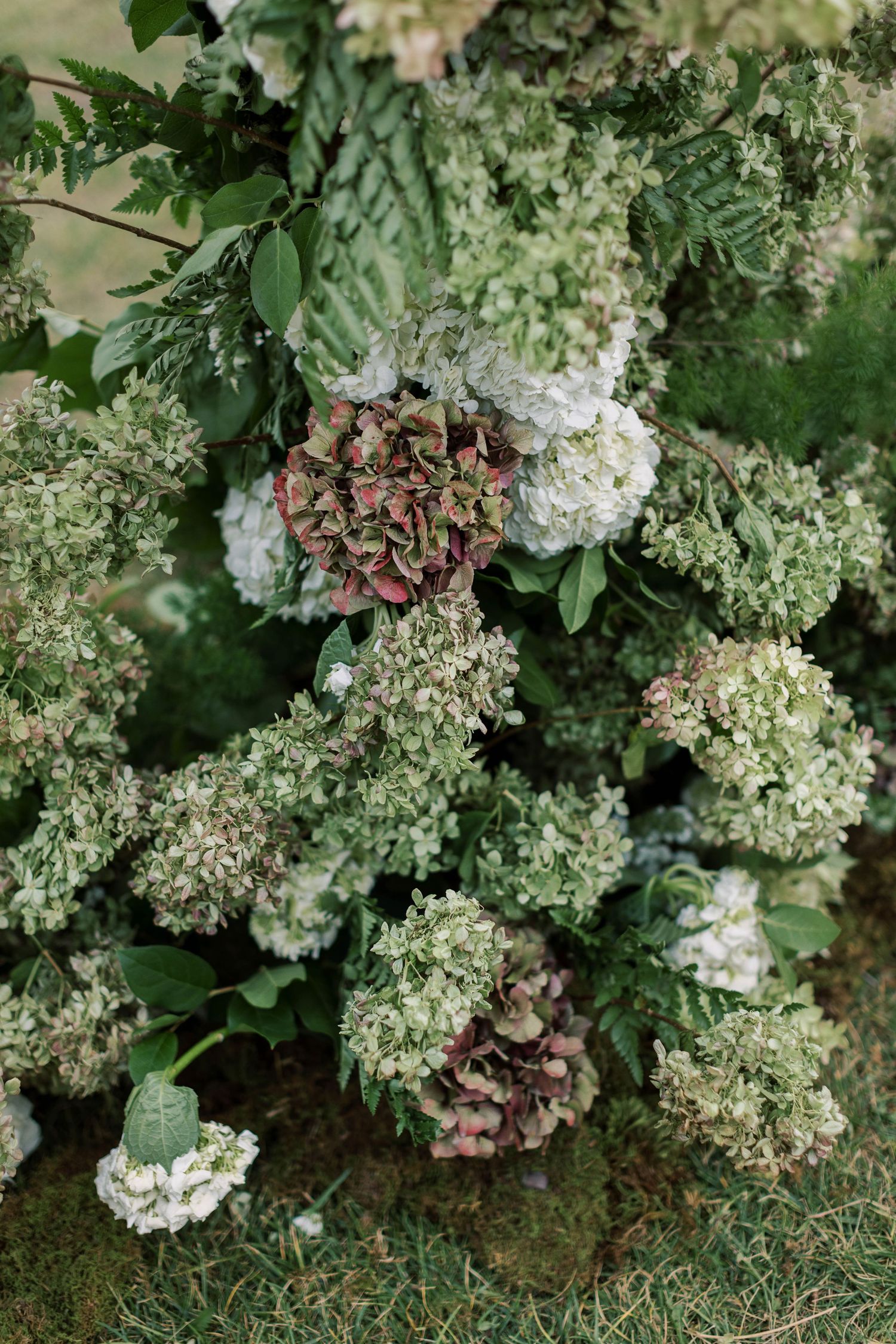 Lush arrangement of white and pink hydrangea blooms with green foliage.