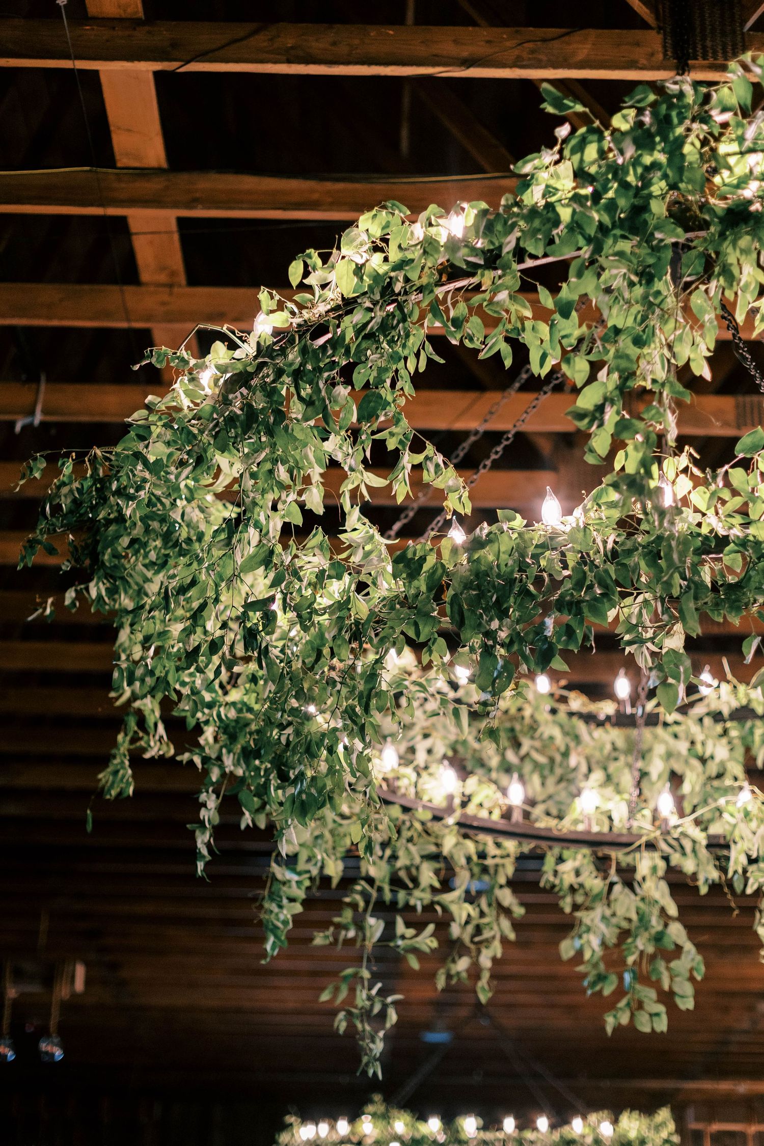 Illuminated greenery chandelier with twinkling lights in rustic barn setting.