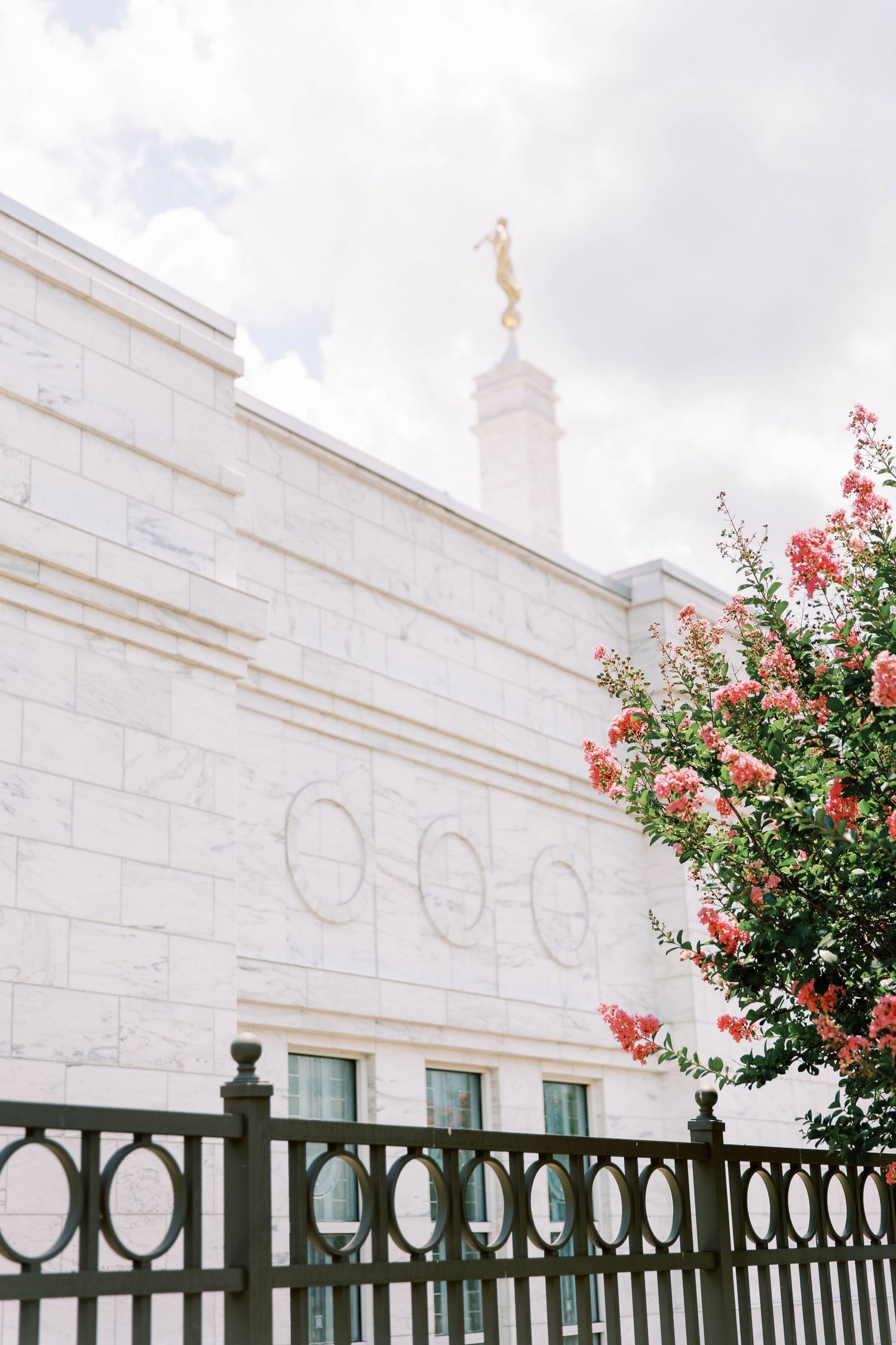 White stone temple exterior with pink flowering crepe myrtle bush and ornate iron fence of the Nashville LDS temple.