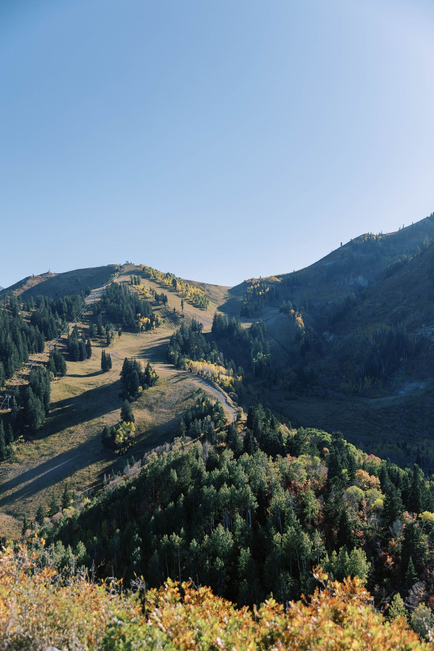 Scenic mountain ski slopes with autumn foliage and winding trails among evergreen trees.