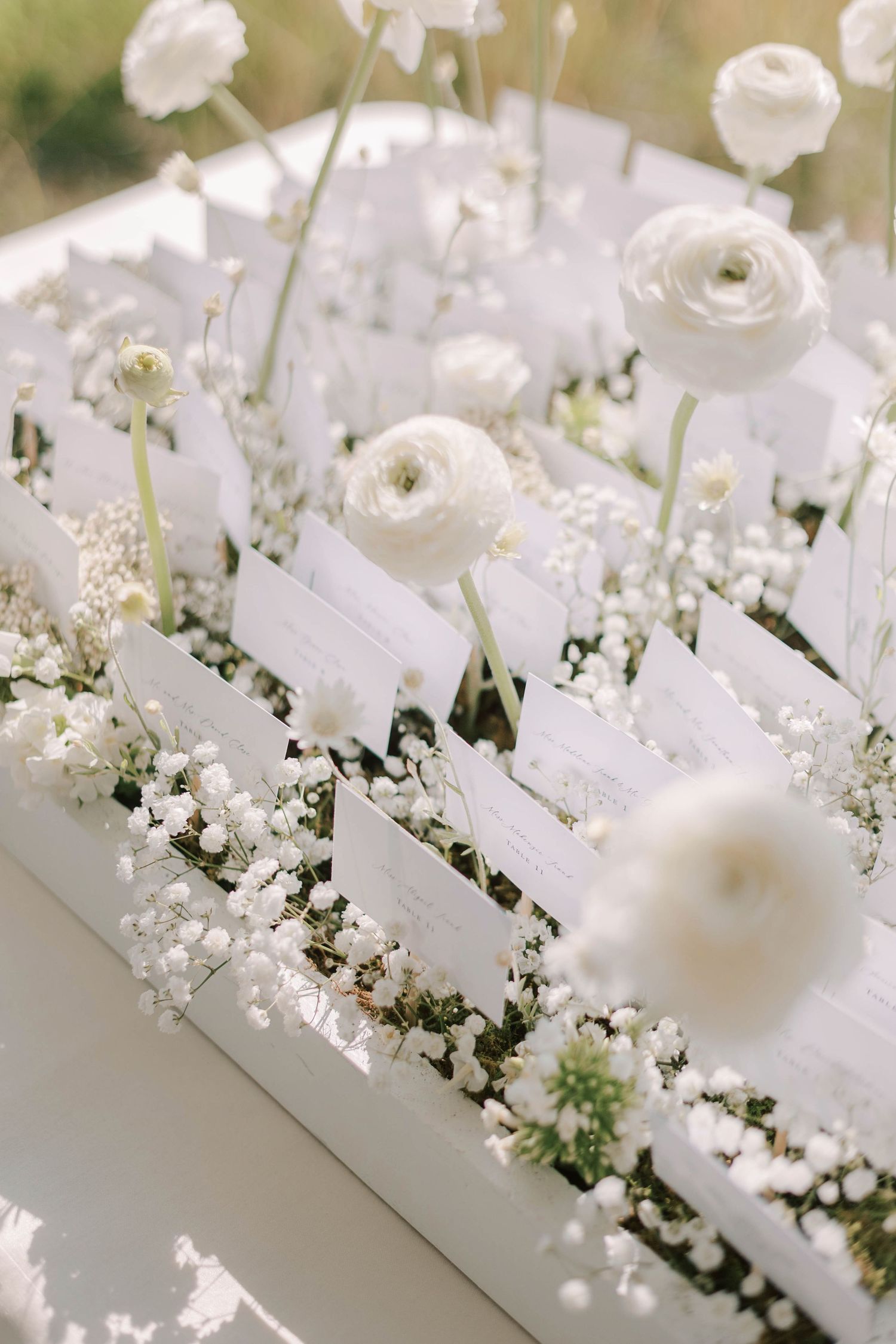 Close-up of white ranunculus flowers and baby's breath in modern wedding centerpiece arrangement.