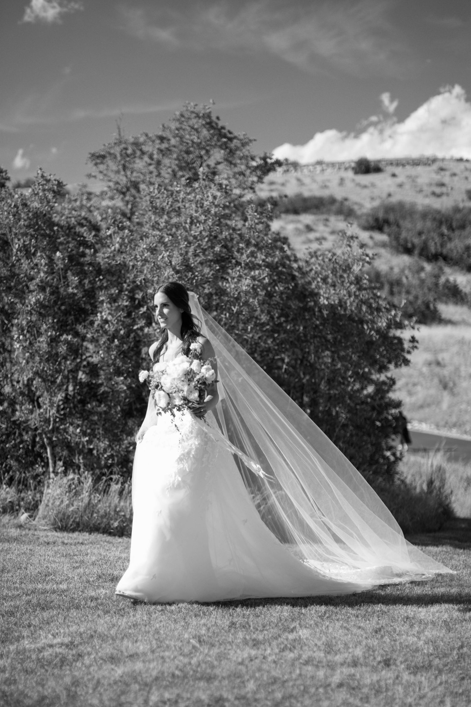 Elegant outdoor wedding photo featuring a flowing veil against a mountainous backdrop.