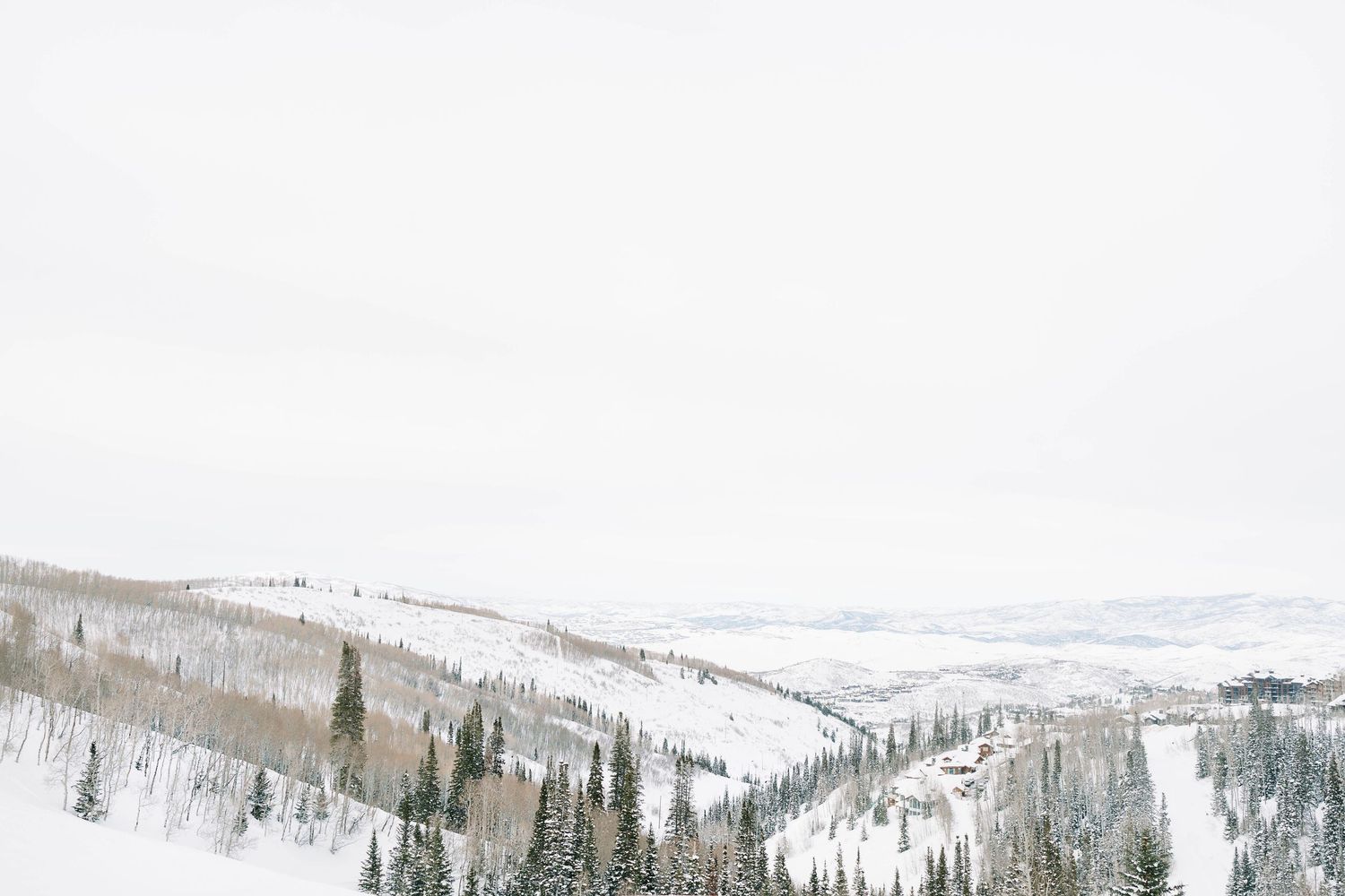 Snow-covered mountain slopes with evergreen trees in a winter landscape.