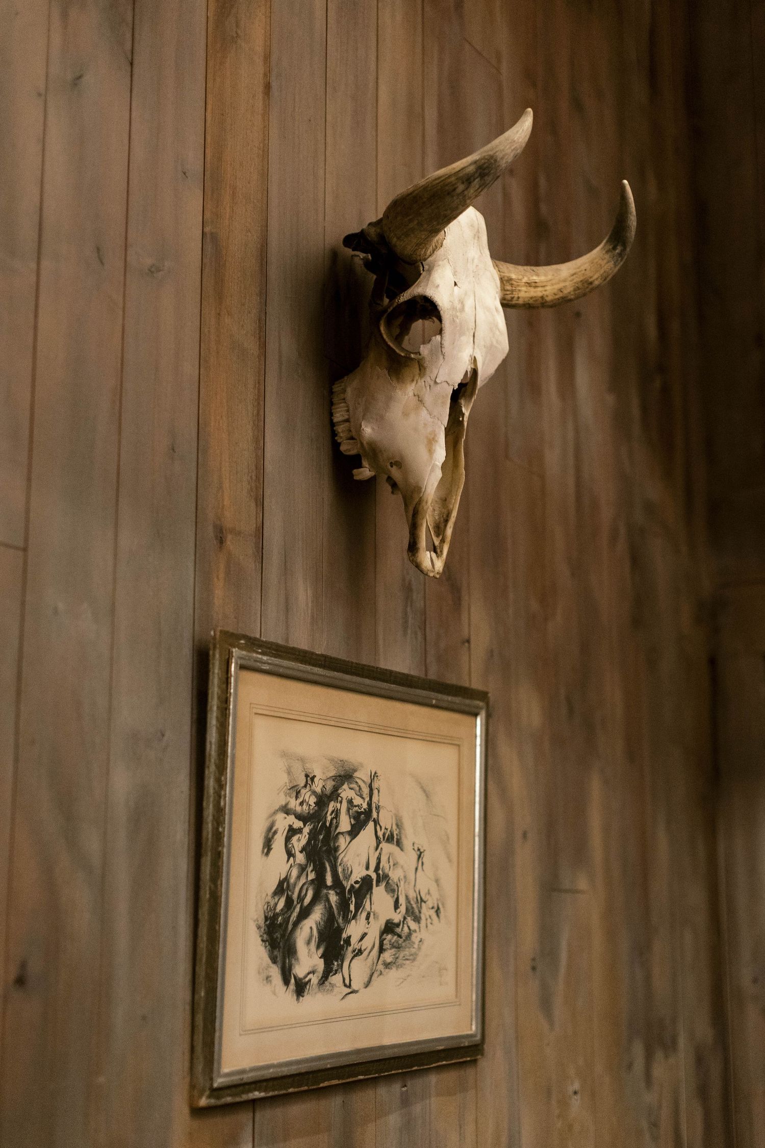 A cow skull and framed artwork mounted on a wooden wall in rustic decor.