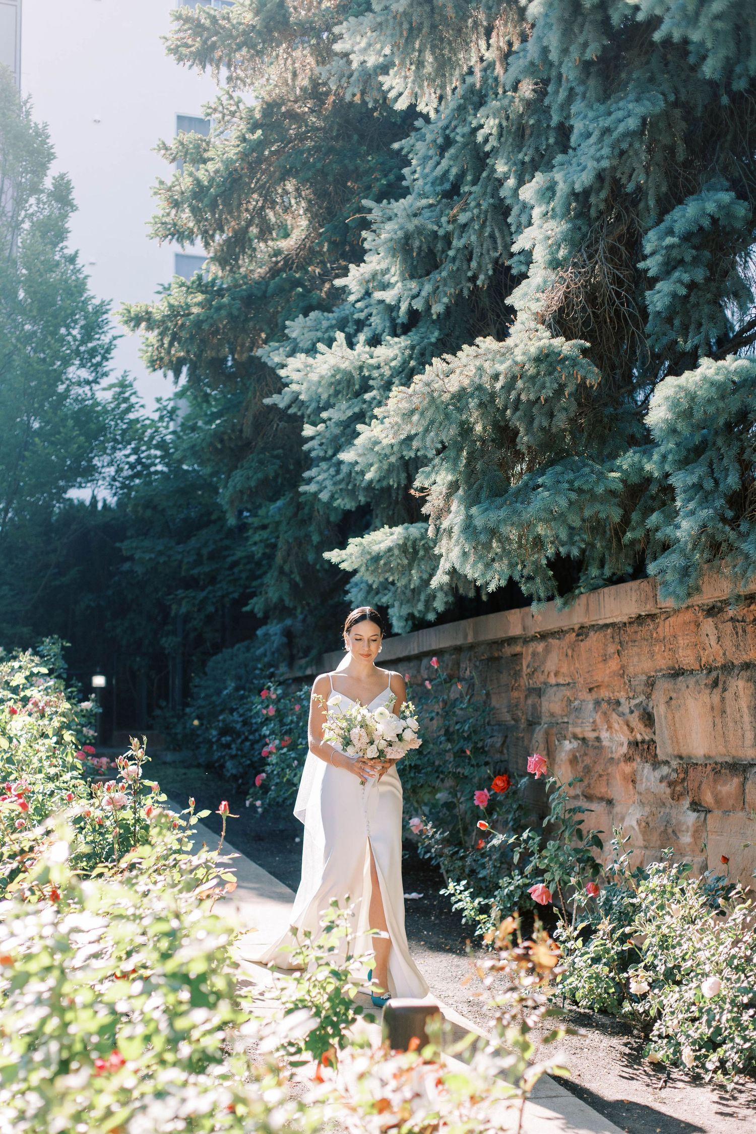 Beautiful garden setting with blooming flowers and blue spruce trees creating a romantic backdrop.