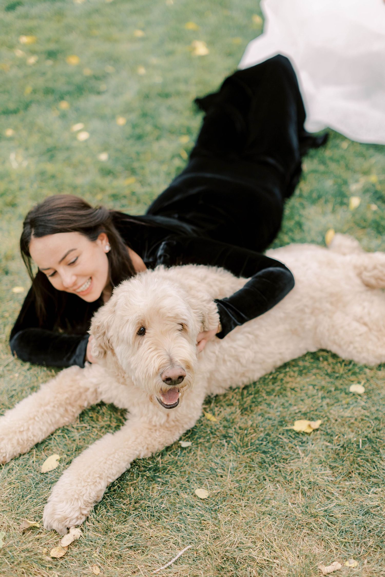 A large fluffy white dog lies on grass with someone in black clothing.