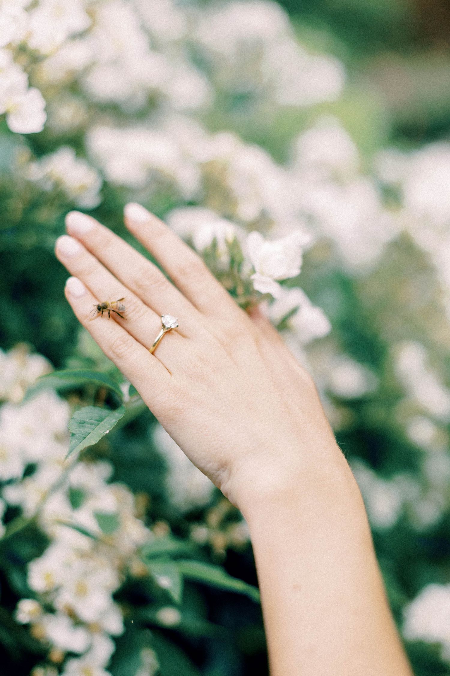 A delicate hand wearing an engagement ring against blooming white flowers.
