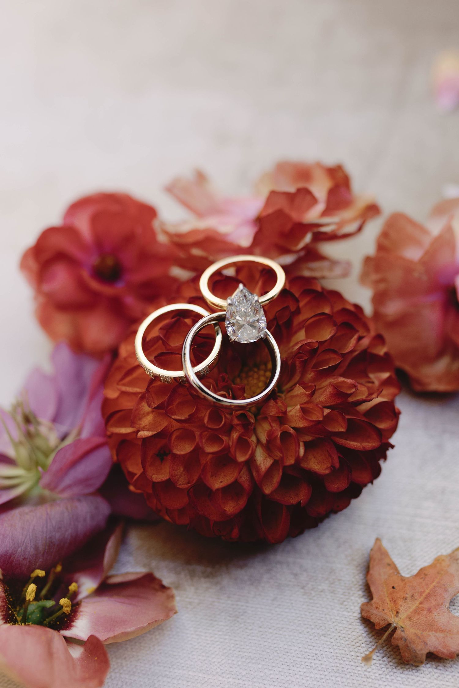 Wedding rings arranged artistically on a red dahlia flower with scattered petals.