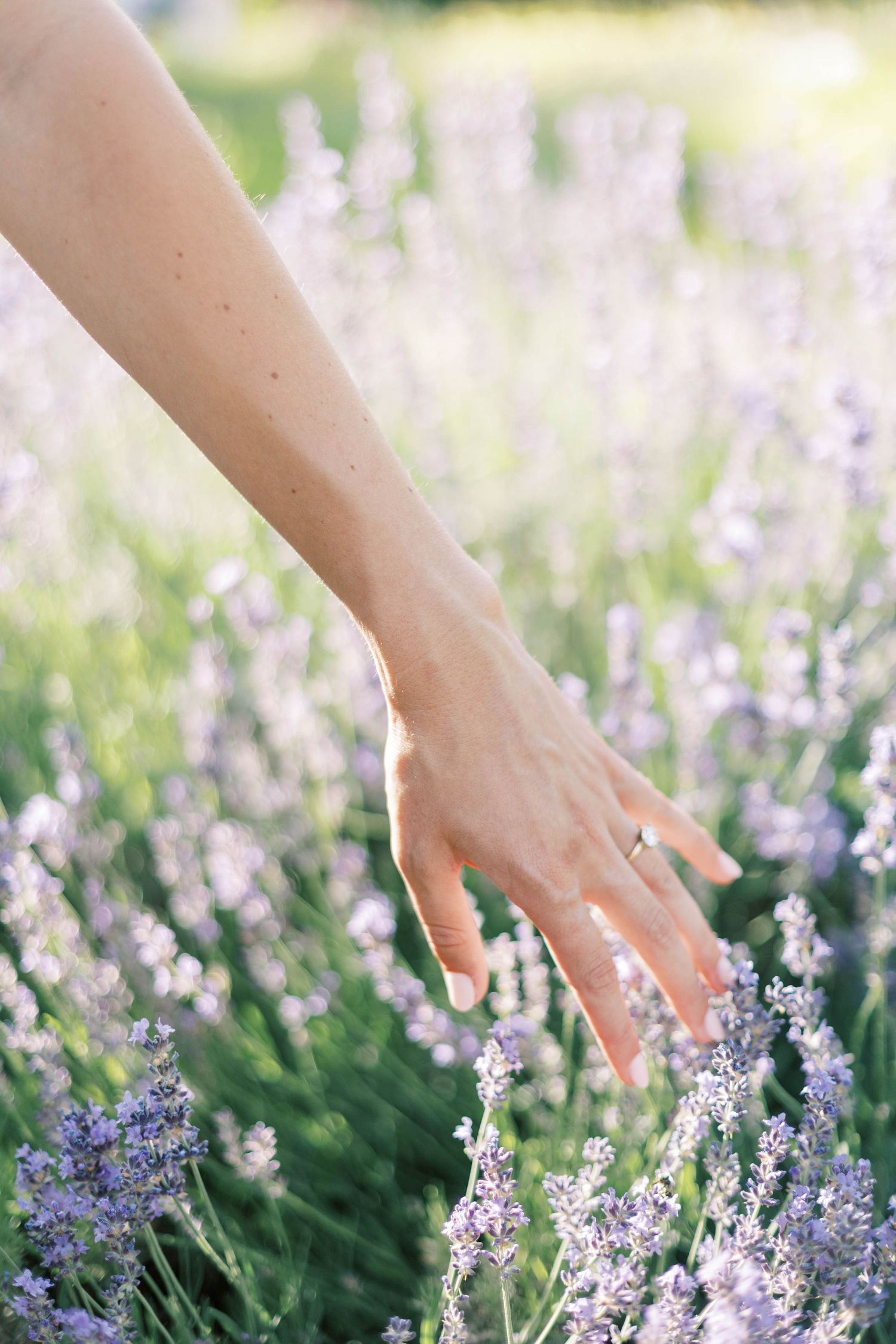 A delicate hand reaches out to touch blooming lavender flowers in a dreamy summer garden setting.