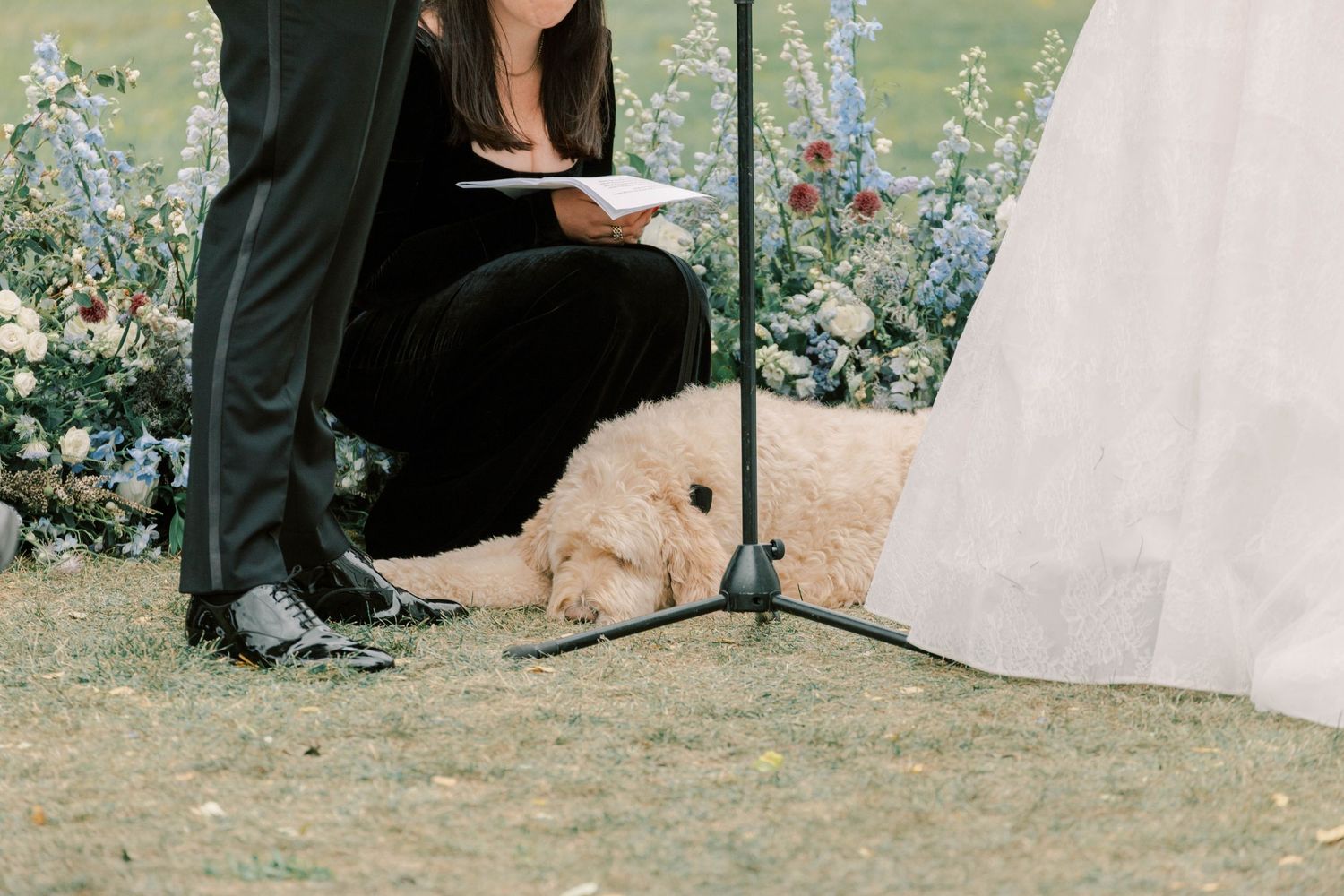A golden doodle dog lies between the couple during outdoor wedding ceremony.