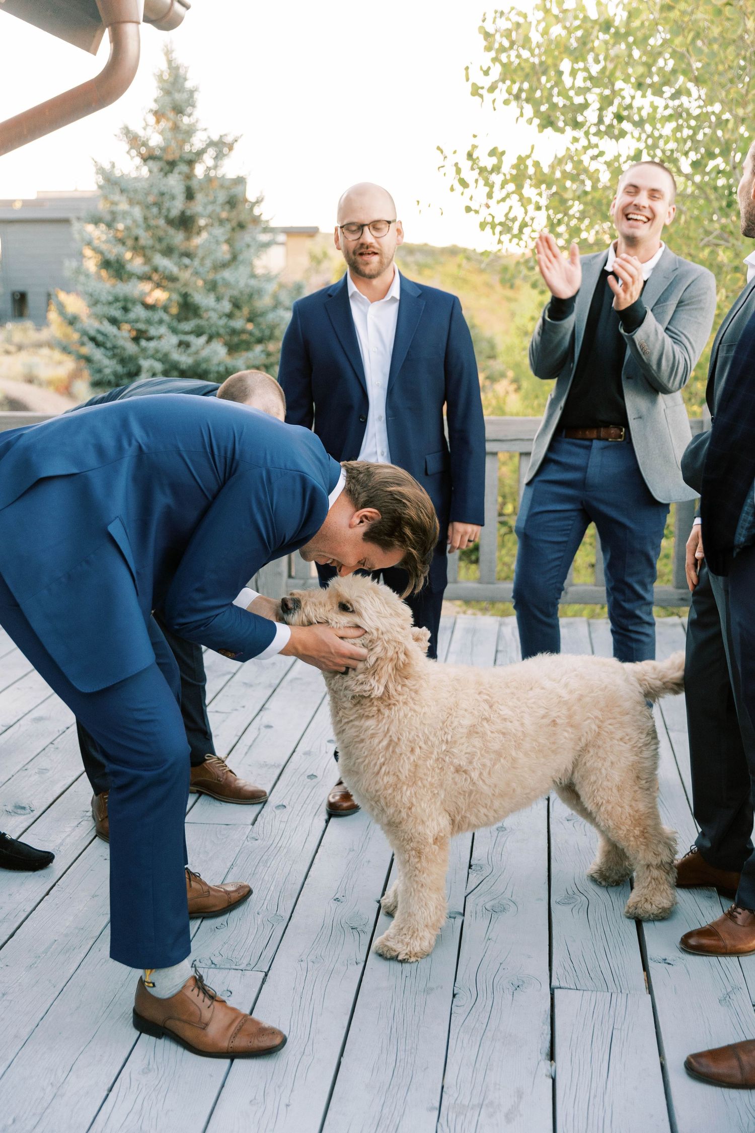 Man in blue suit bends down to pet a friendly goldendoodle dog while others watch and laugh.