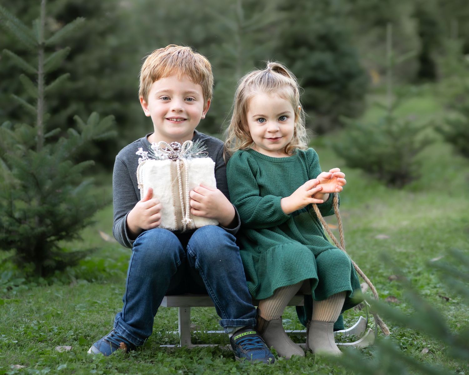 two toddler siblings sit on a little wood sled with a wrapped Christmas gift, surrounded by Christmas trees on a tree farm.