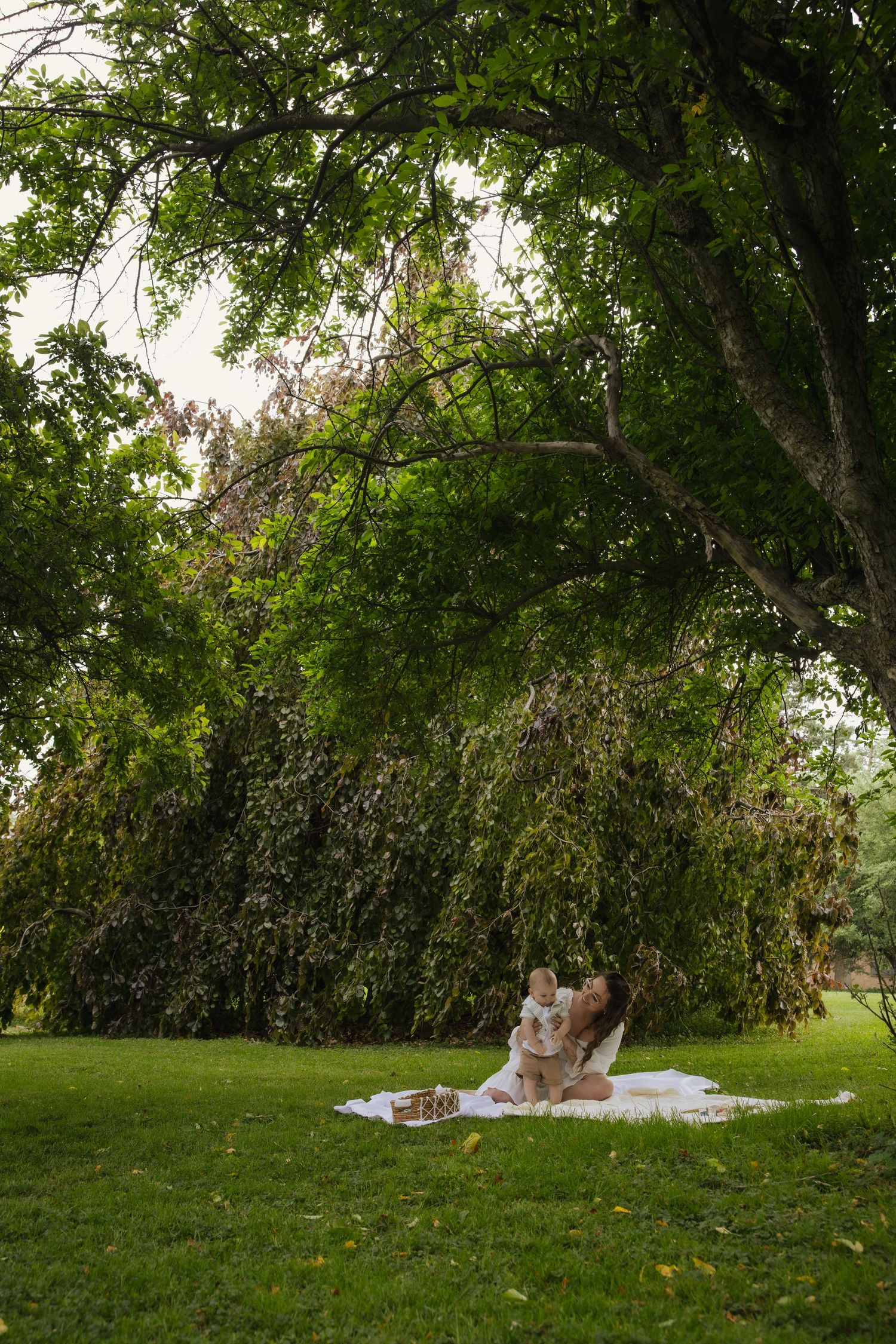 A romantic picnic setup on a lush green lawn under the shade of drooping tree branches.