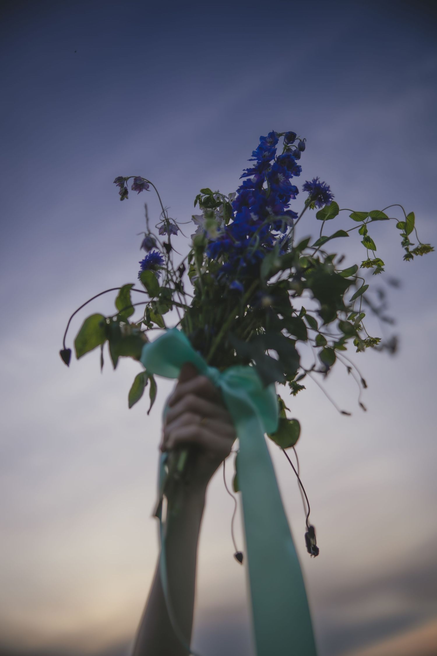 A bouquet of blue delphinium flowers with greenery tied with a turquoise ribbon held up against a dusky sky.