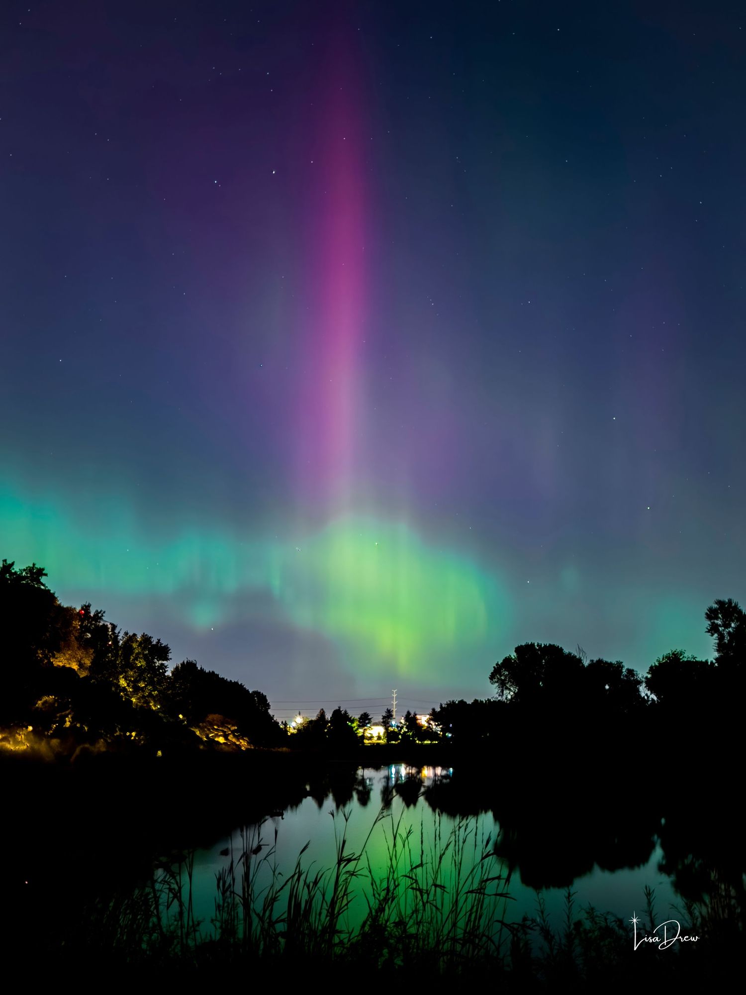 Aurora at Shingle Creek - 30