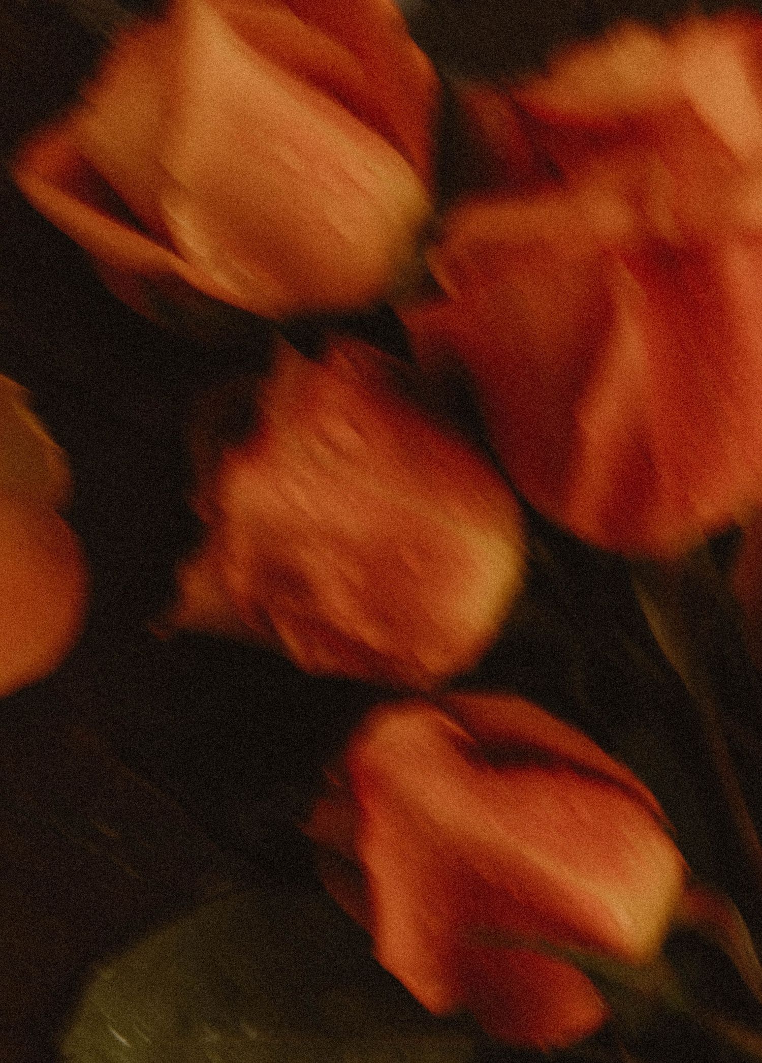 Abstract orange petals captured in a macro shot against black background create a blurred artistic pattern.