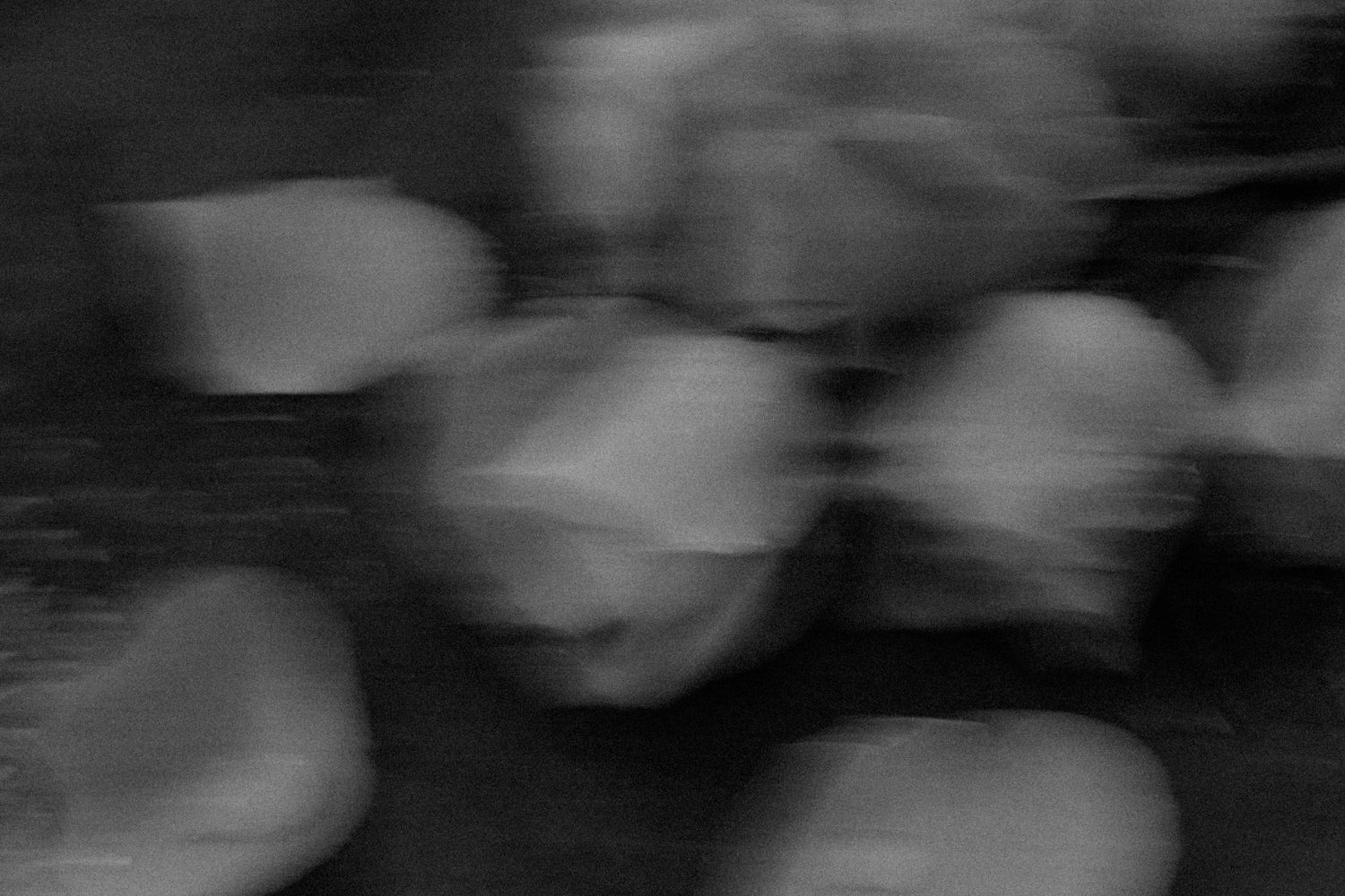 Abstract black and white image showing blurred floral shapes in soft focus.