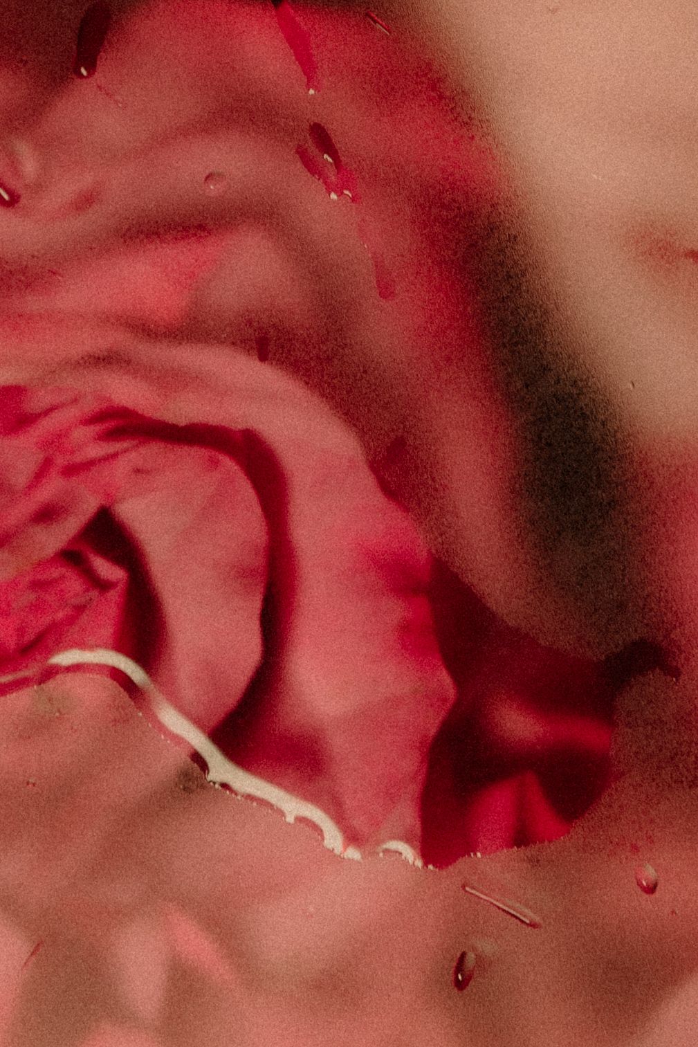 Artistic macro shot of red rose petals with water droplets in dramatic lighting.