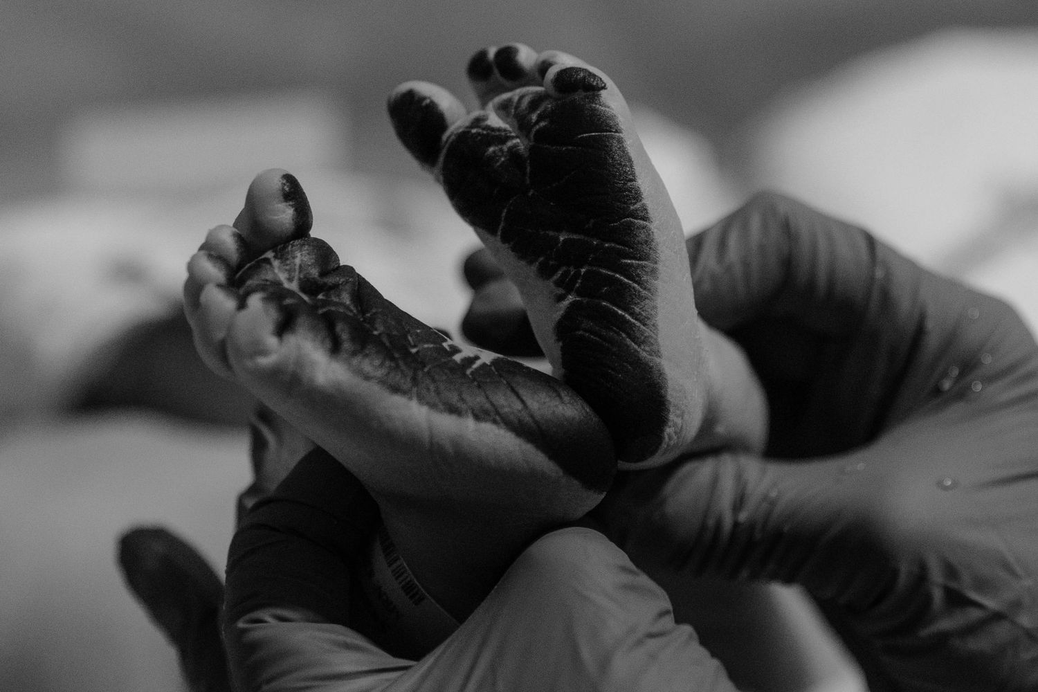Close-up black and white image of tiny baby feet held gently in adult hands.