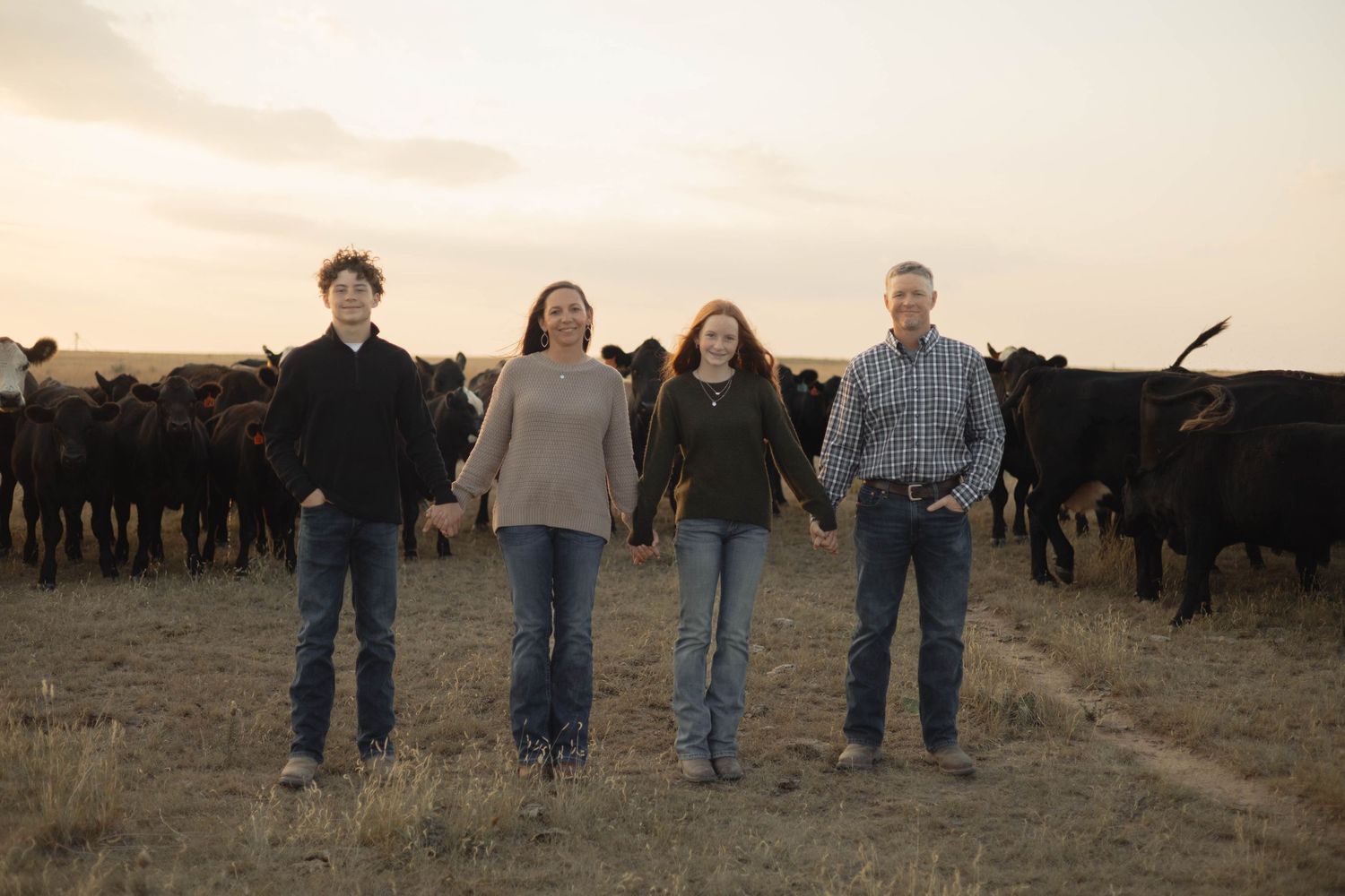 Four people stand together on a dirt path with a herd of black cattle in the background during sunset. Kansas city wedding photography.