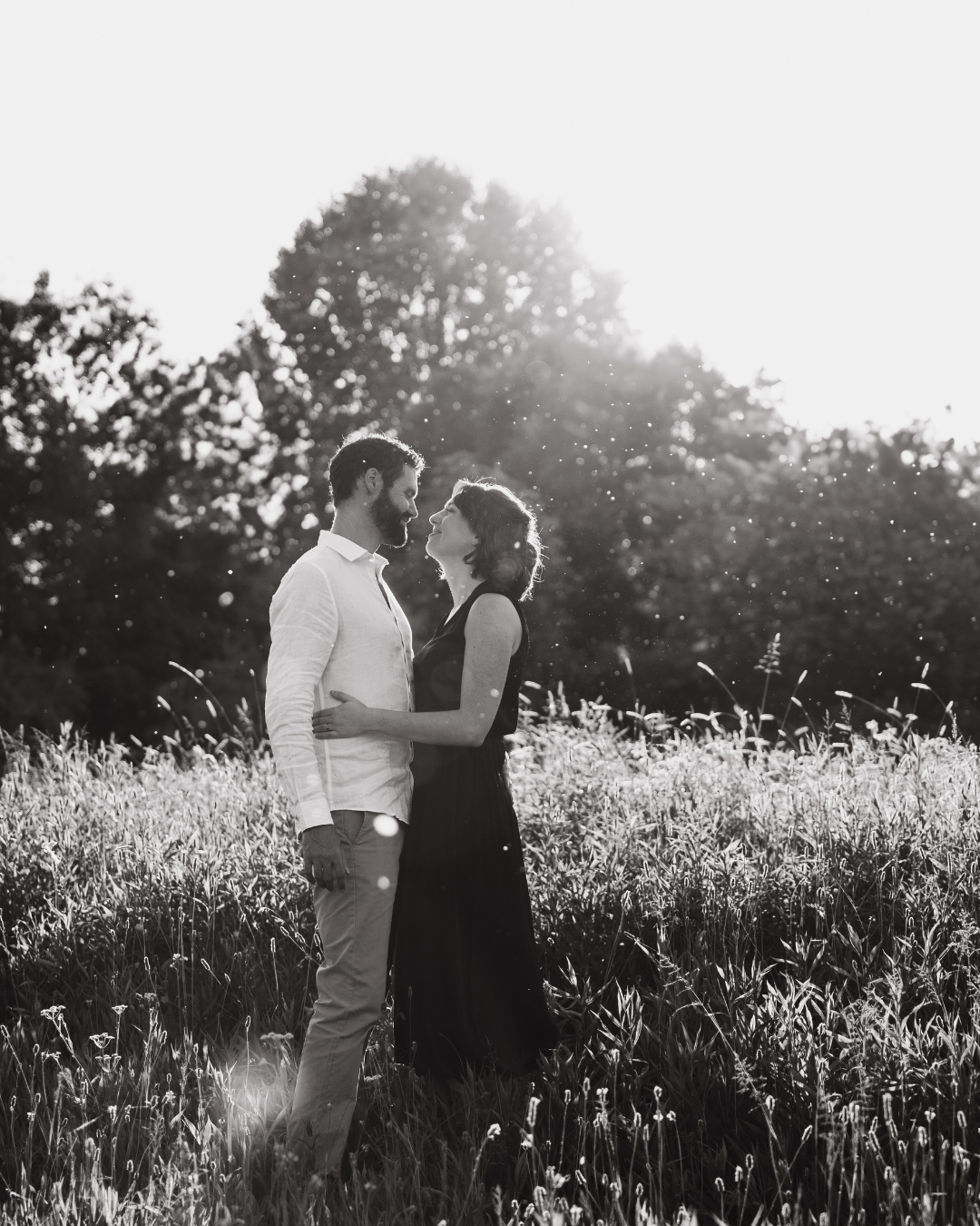 A romantic couple embraces in a sunlit meadow with tall grass and dreamy backlit atmosphere at golden hour.