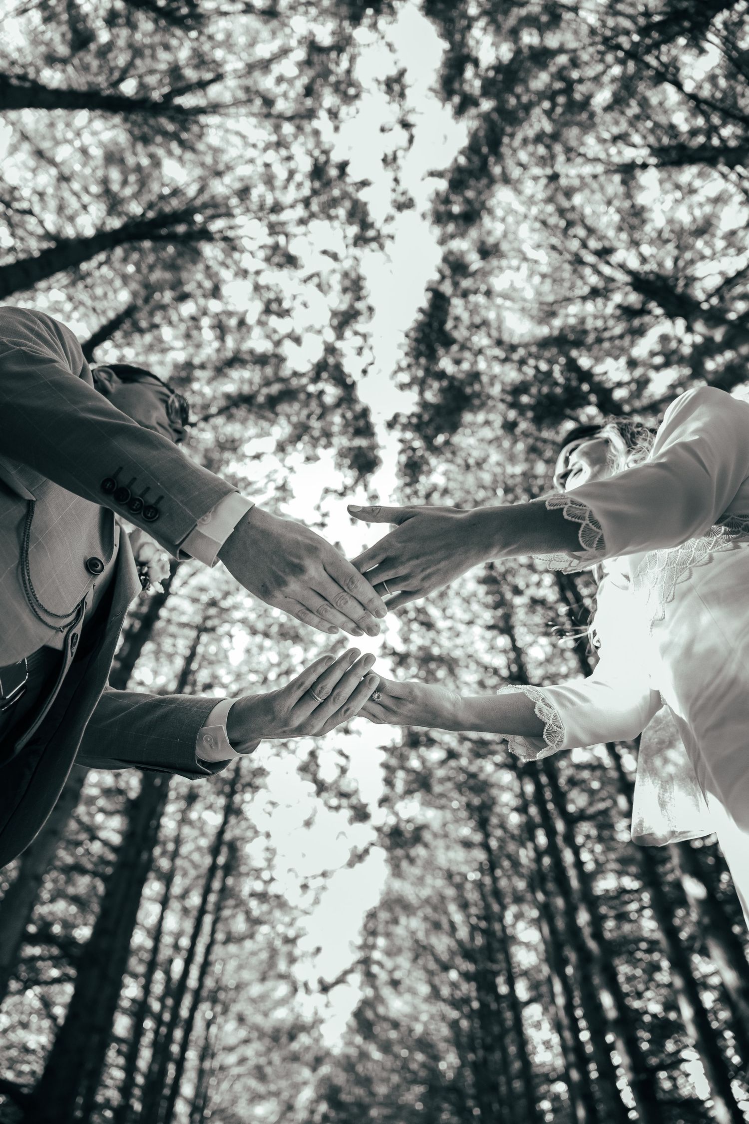 Artistic low-angle shot of couple joining hands beneath towering forest canopy.