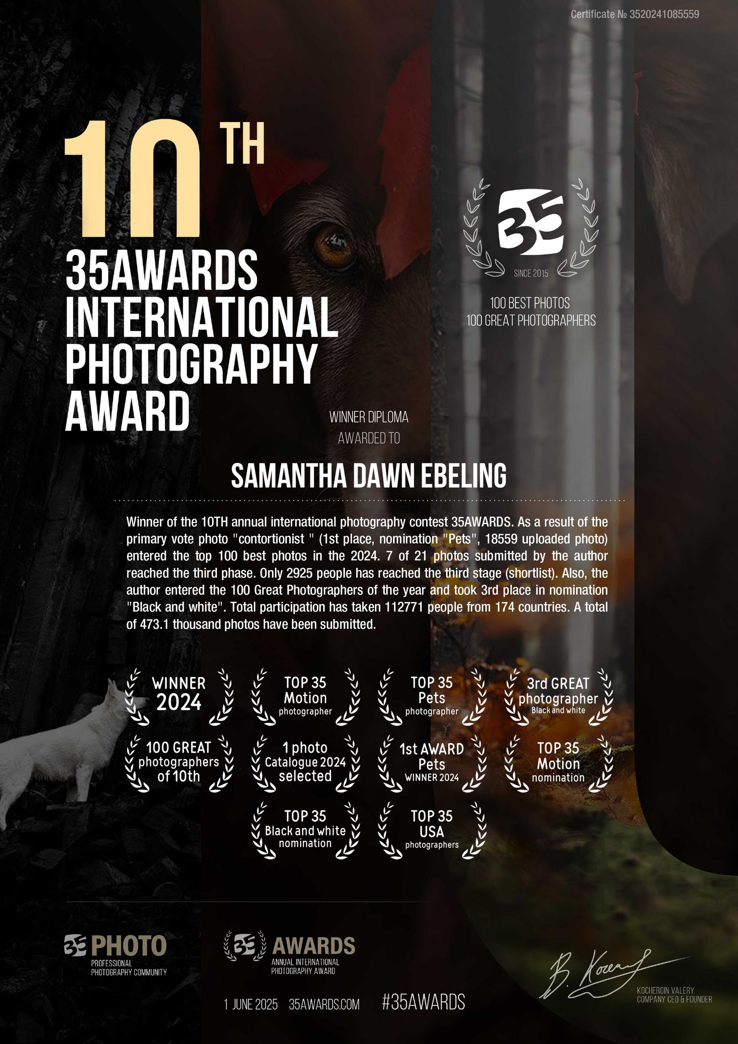 Award poster for the 10th 35AWARDS International Photography Award featuring multiple film festival laurels and a dark background.