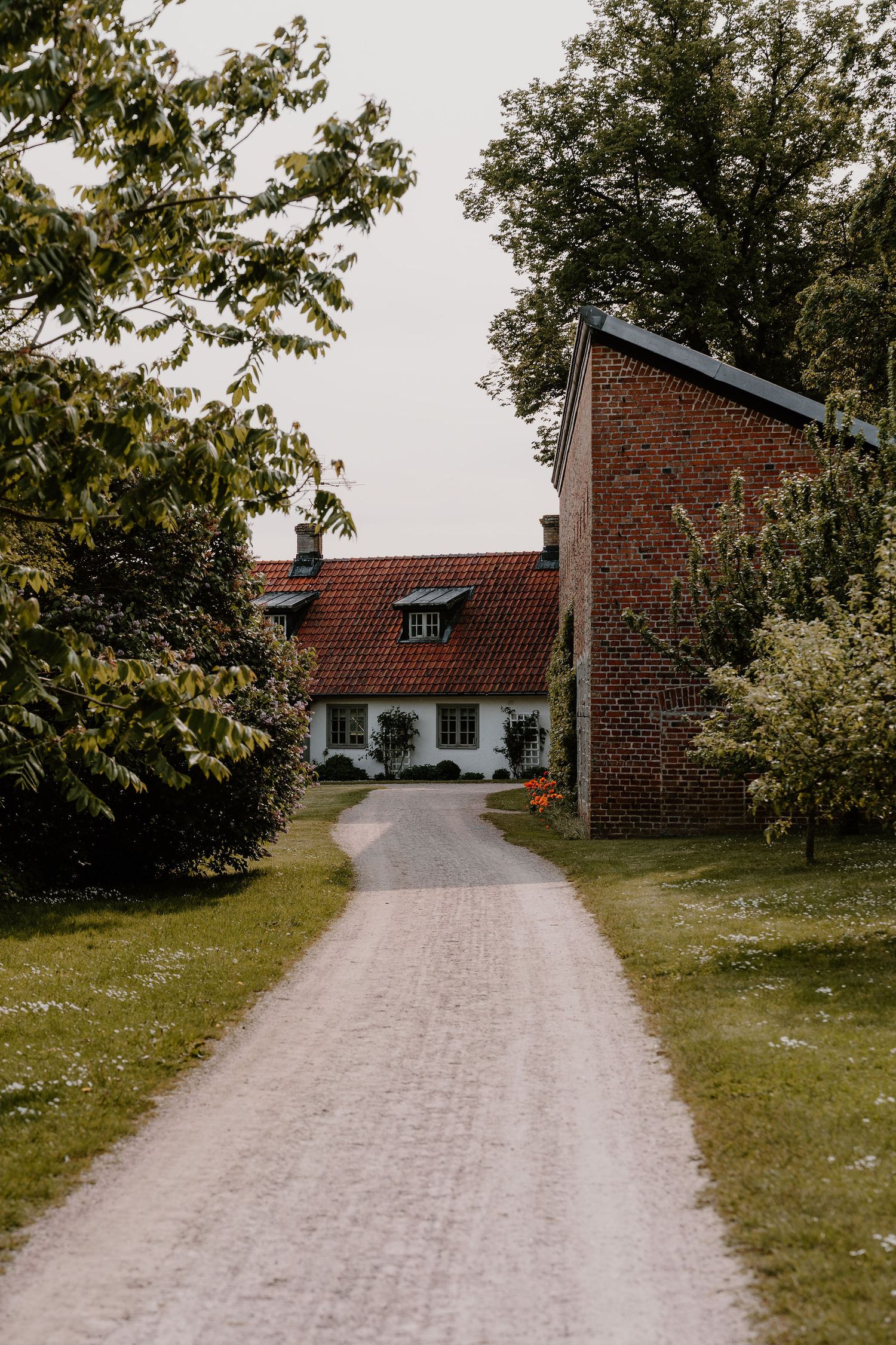 A gravel path leads to a white farmhouse with red brick outbuildings surrounded by lush green trees.